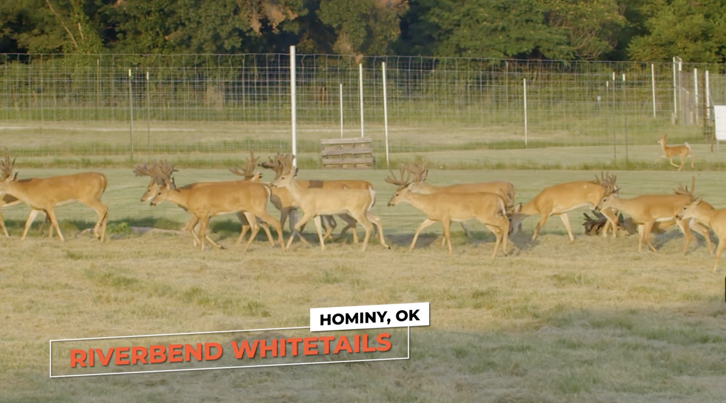 Screenshot 2026-01-29 at 12.09.00 PM.png