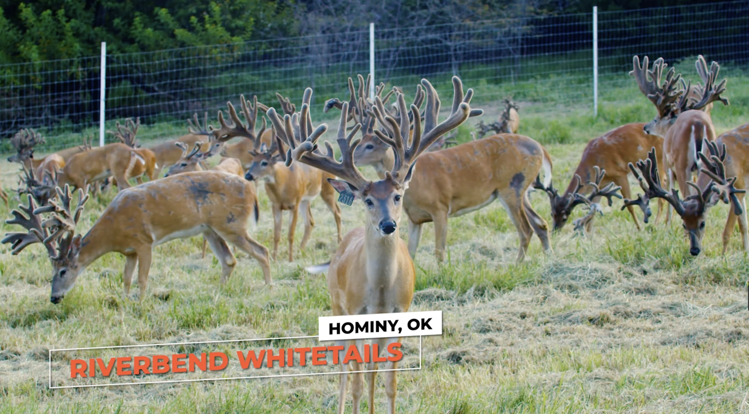 Screenshot 2026-01-29 at 12.09.09 PM.png