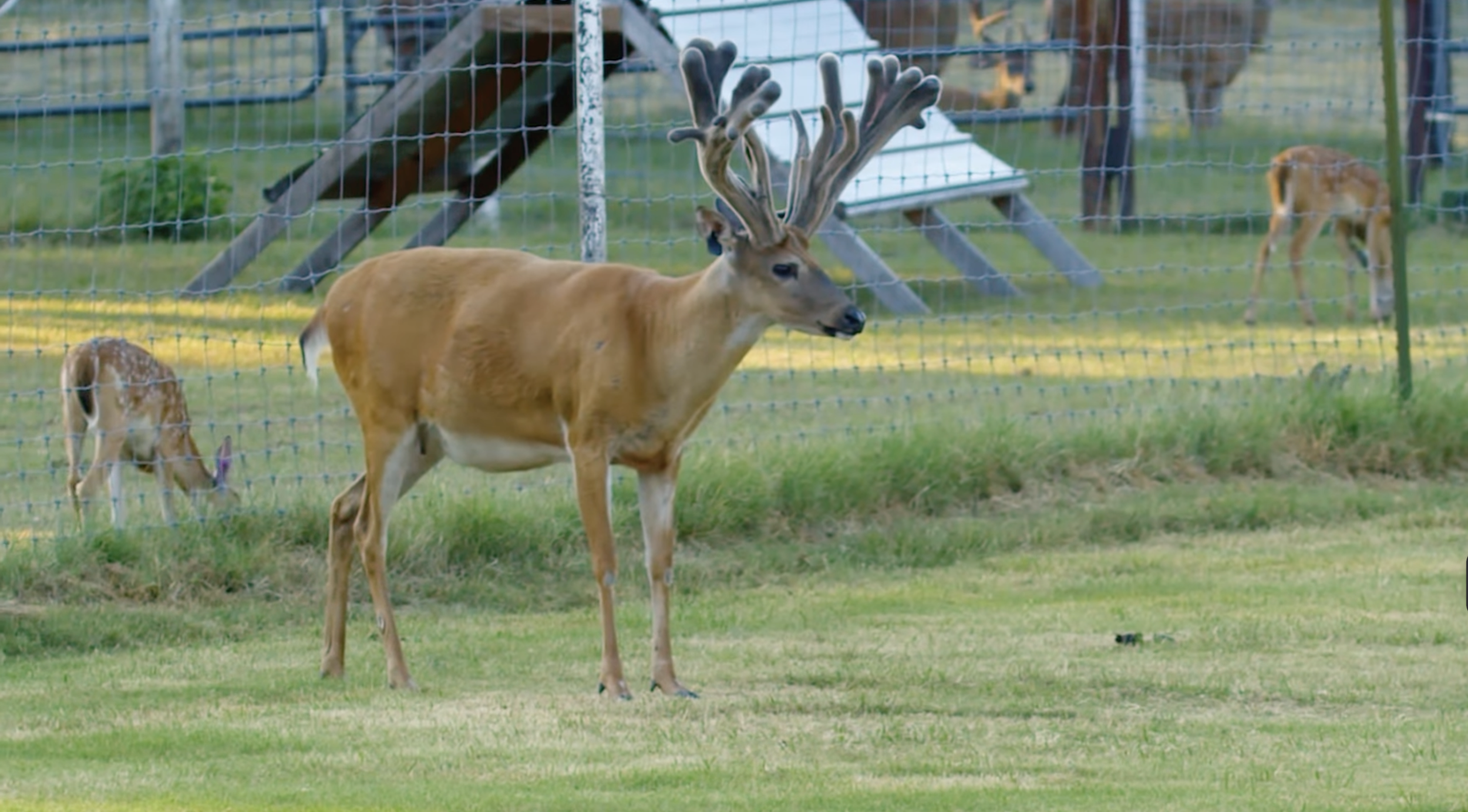 Screenshot 2026-01-29 at 12.09.52 PM.png