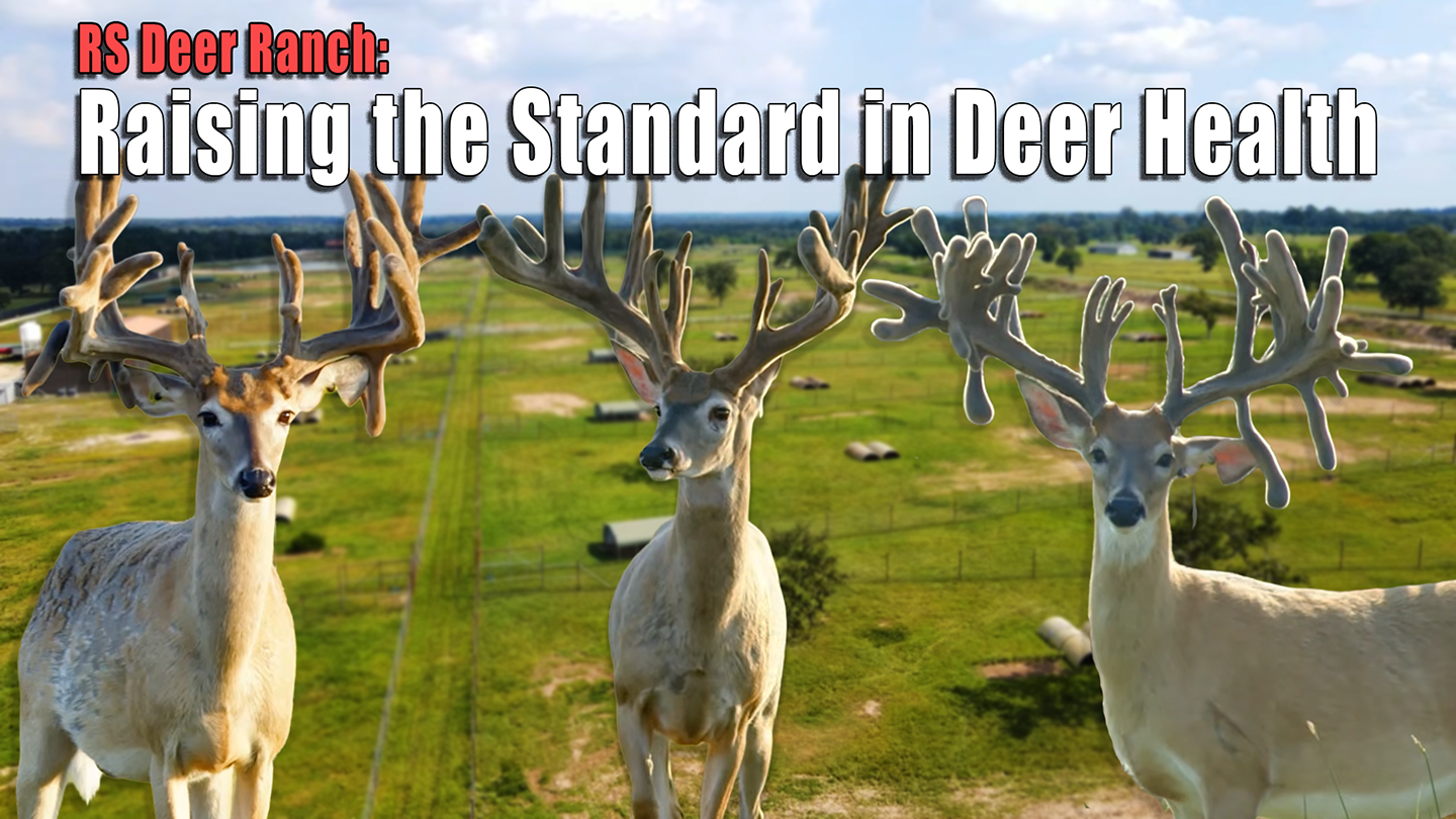 RS Deer Ranch: Leading the Way in EHD and CWD Resistance