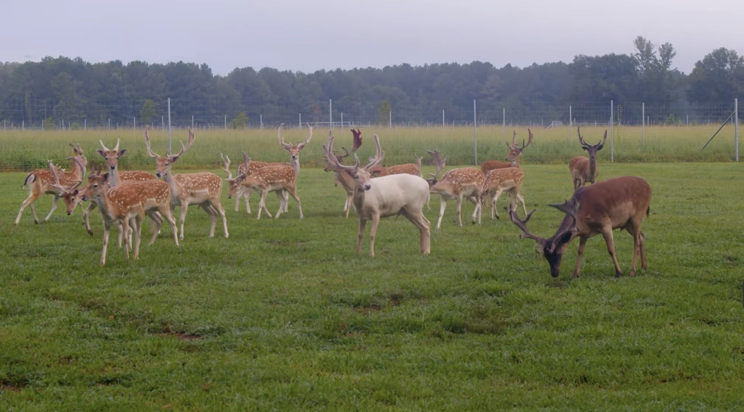 Screenshot 2026-03-05 at 10.24.04 AM.png