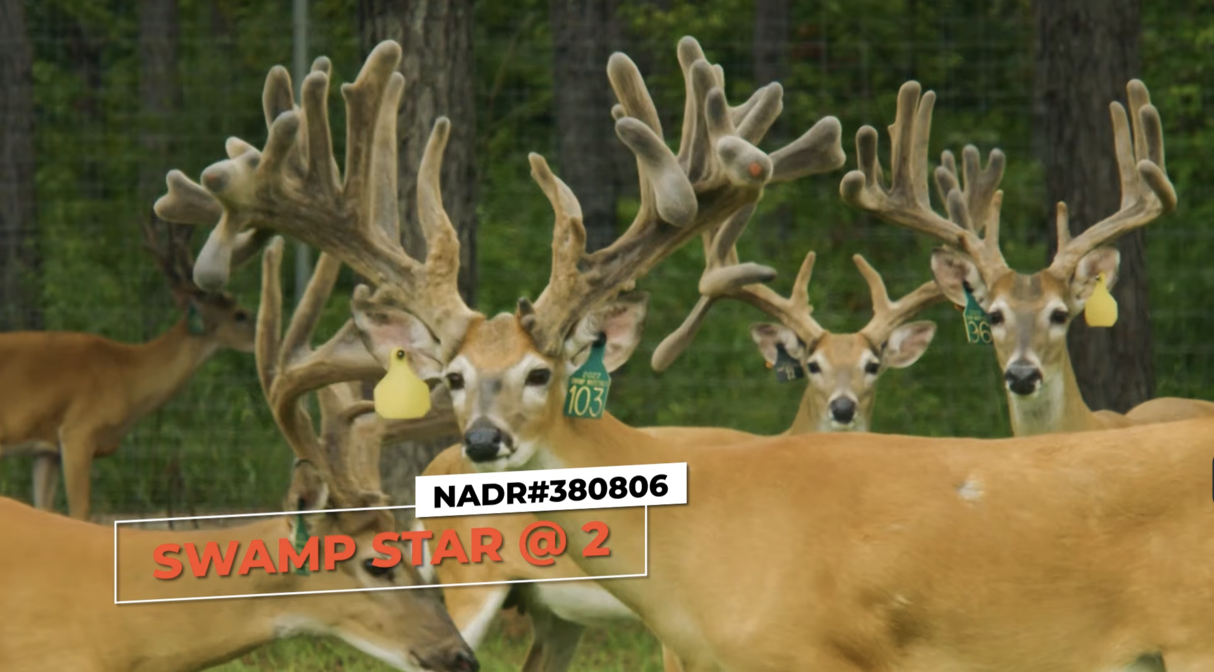 Screenshot 2026-03-05 at 10.47.32 AM.png