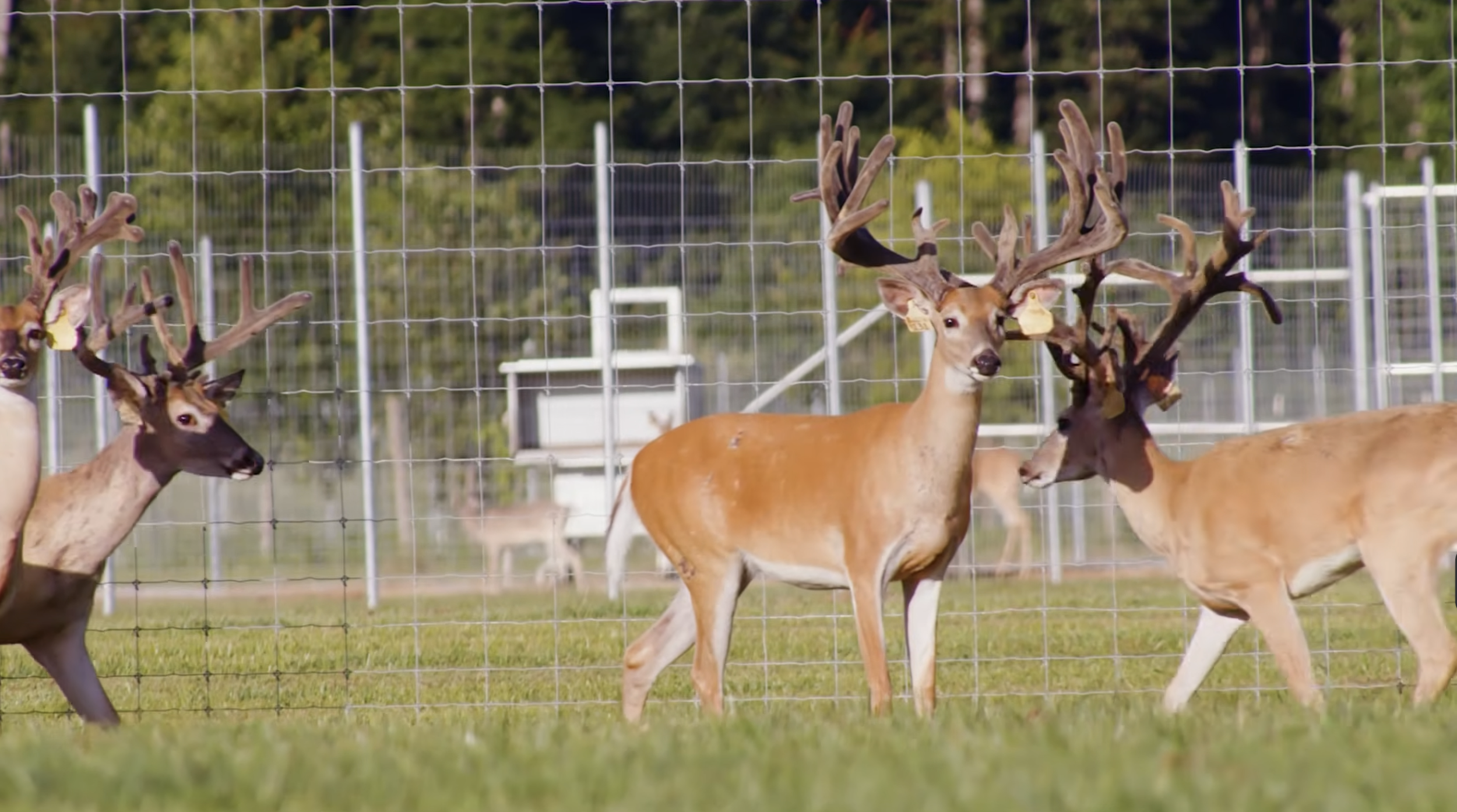 Screenshot 2026-03-05 at 10.51.18 AM.png