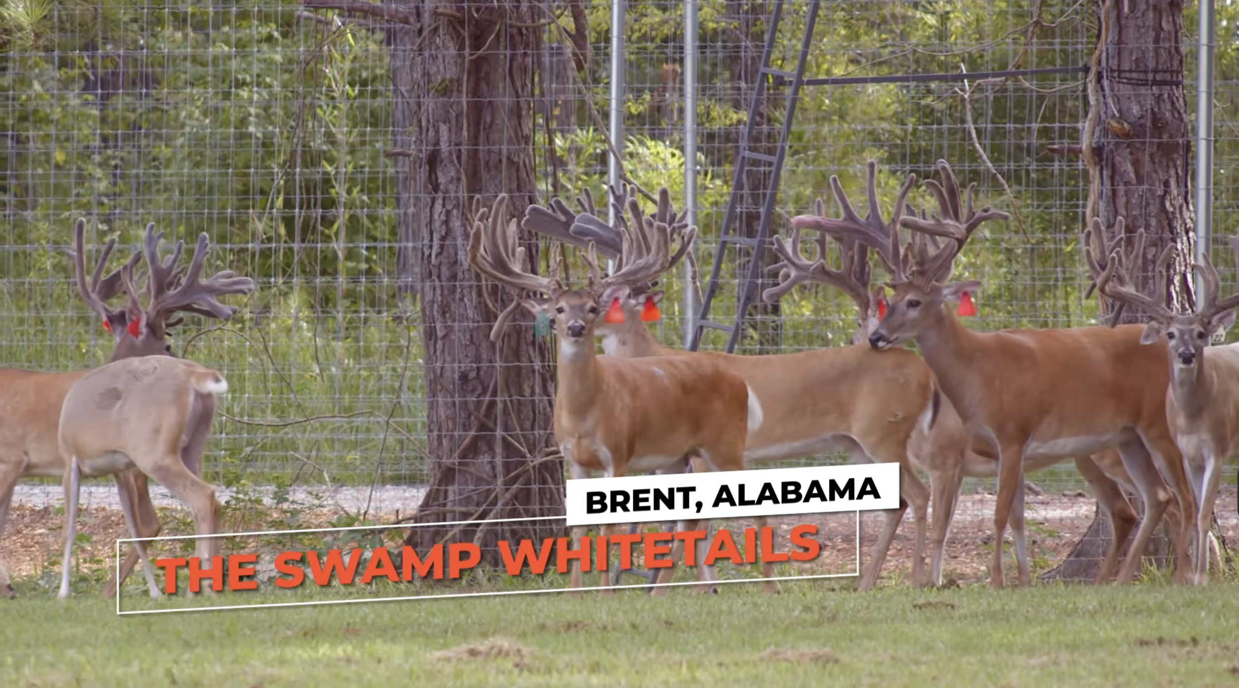 Screenshot 2026-03-05 at 10.21.59 AM.png