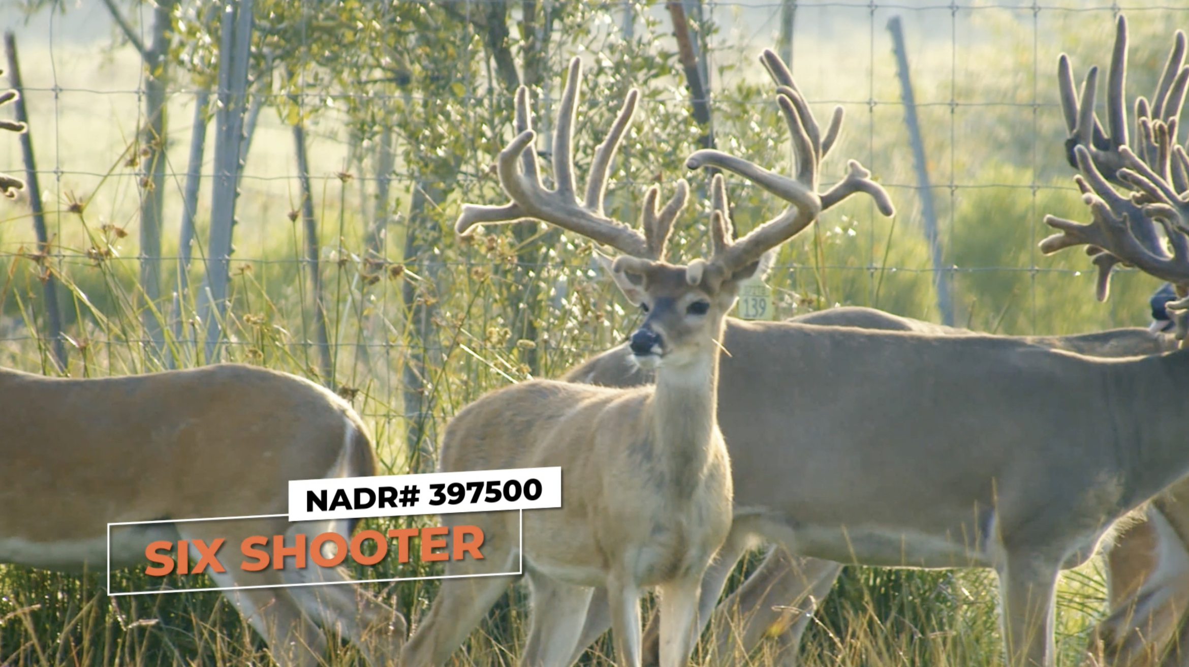 Screenshot 2026-03-04 at 11.30.08 AM.png