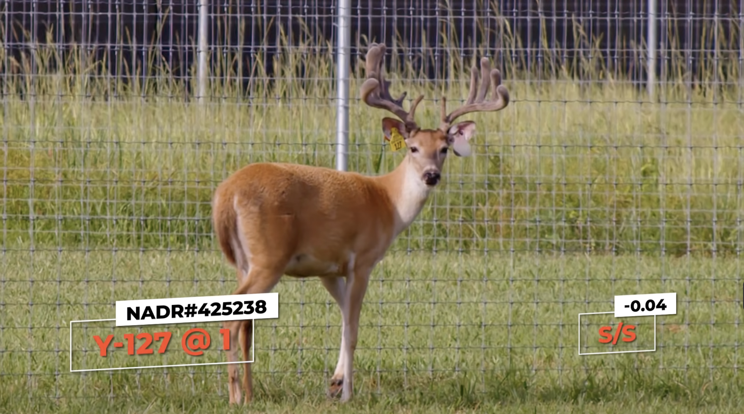 Screenshot 2026-03-05 at 10.56.30 AM.png