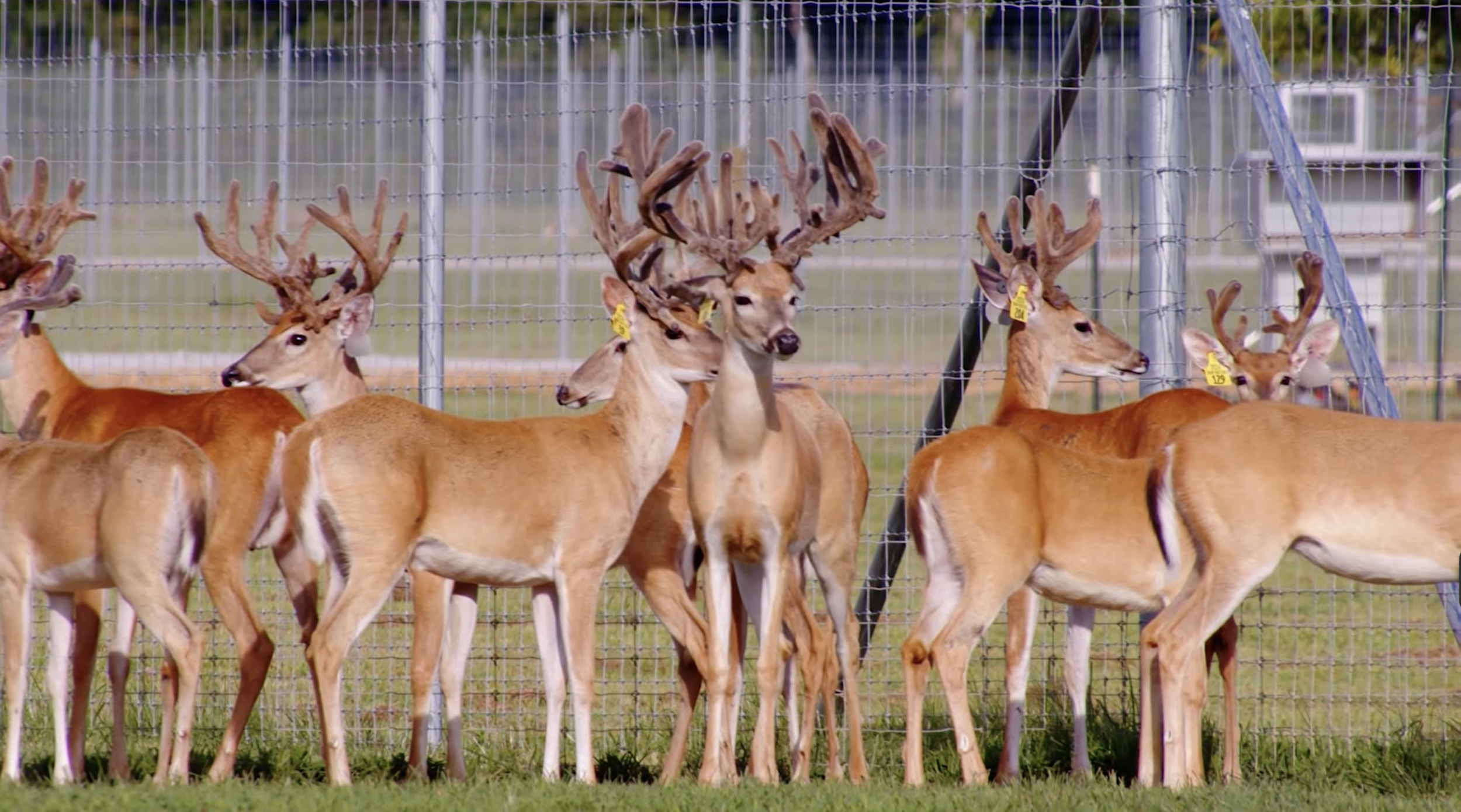 Screenshot 2026-03-05 at 10.58.26 AM.png