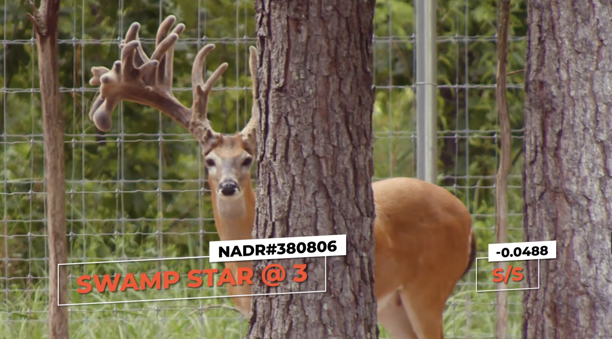 Screenshot 2026-03-05 at 10.46.48 AM.png