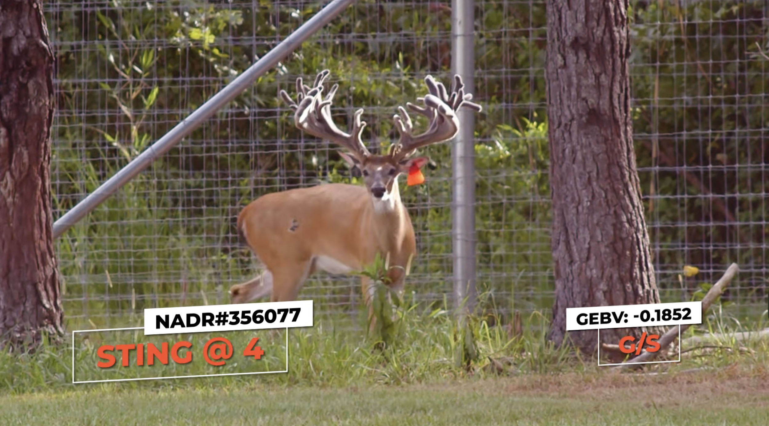 Screenshot 2026-03-05 at 10.45.59 AM.png