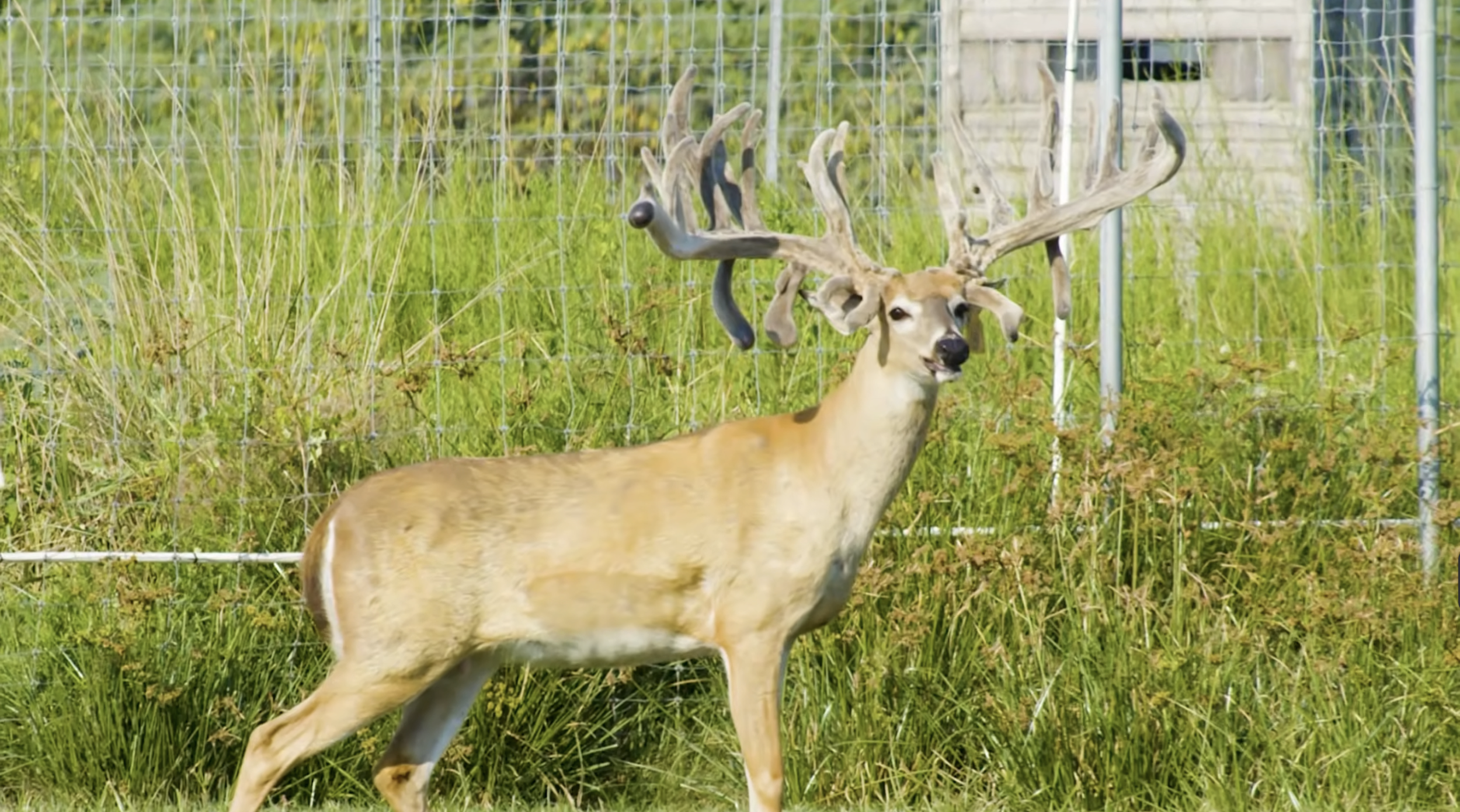 Screenshot 2026-03-04 at 11.09.15 AM.png