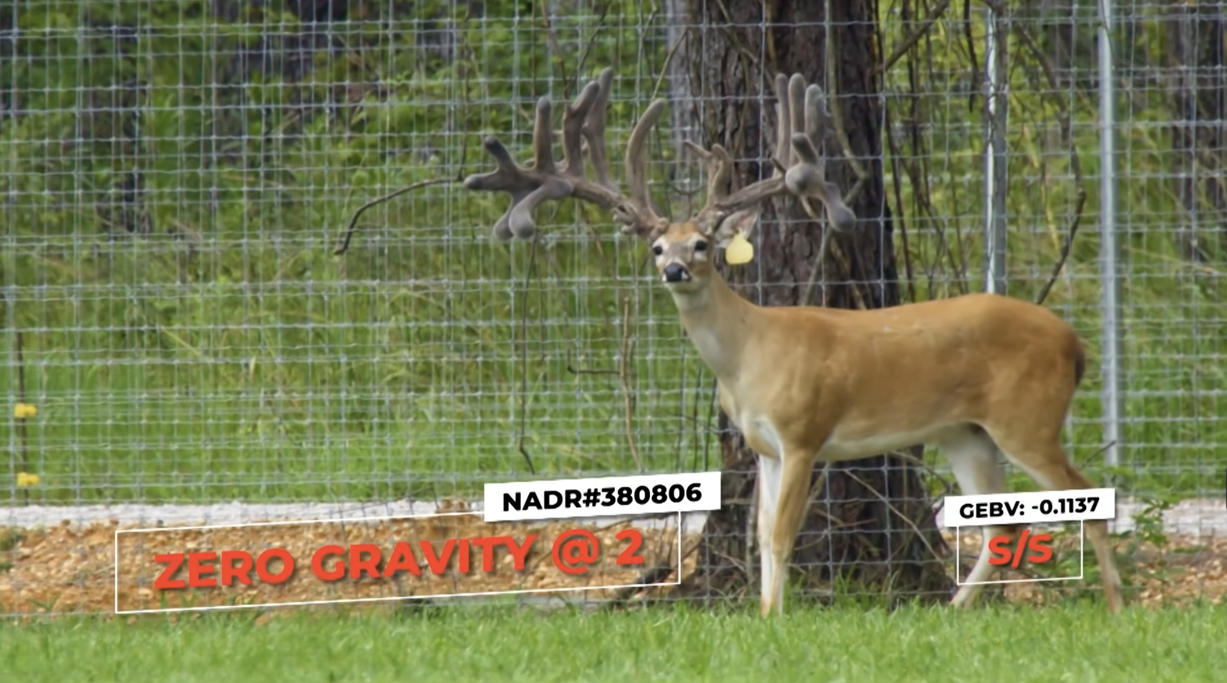 Screenshot 2026-03-05 at 10.44.08 AM.png