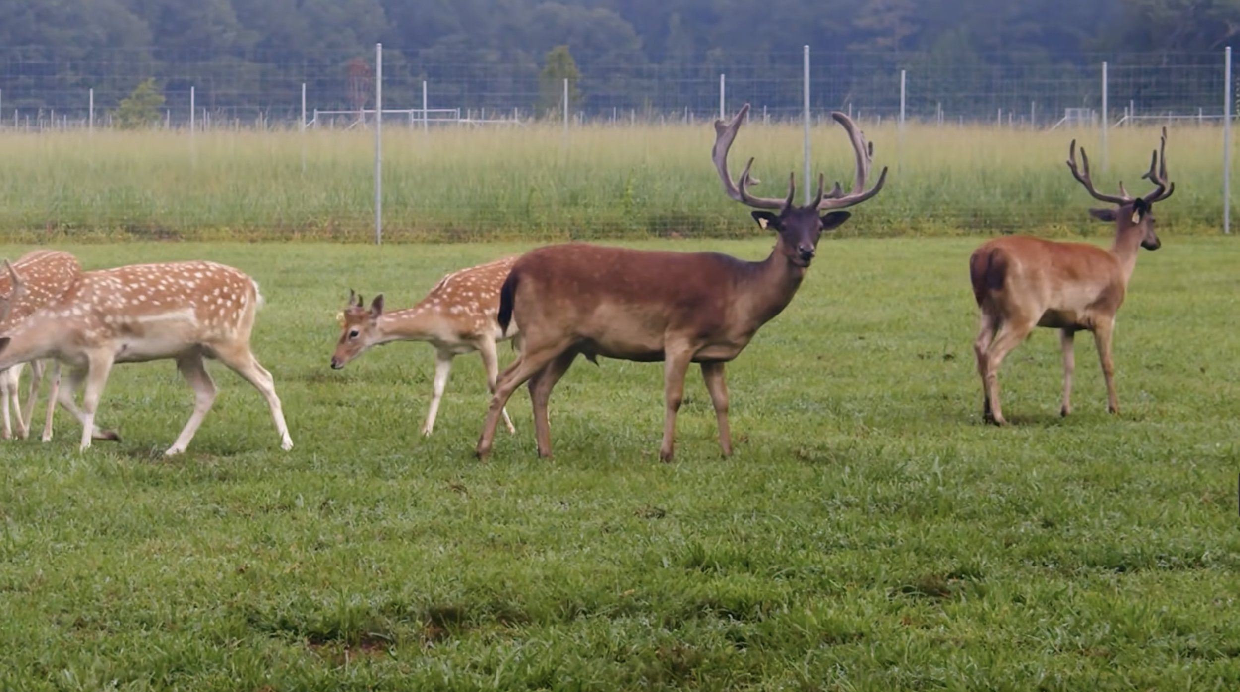 Screenshot 2026-03-05 at 10.28.33 AM.png