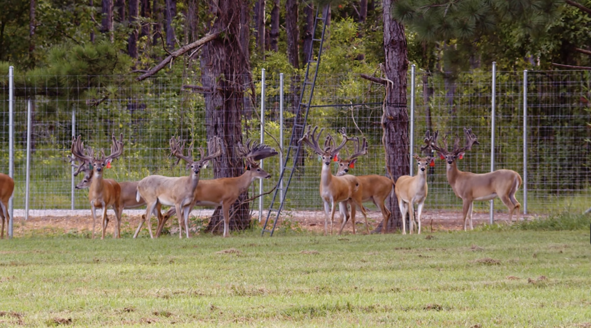 Screenshot 2026-03-05 at 10.45.07 AM.png