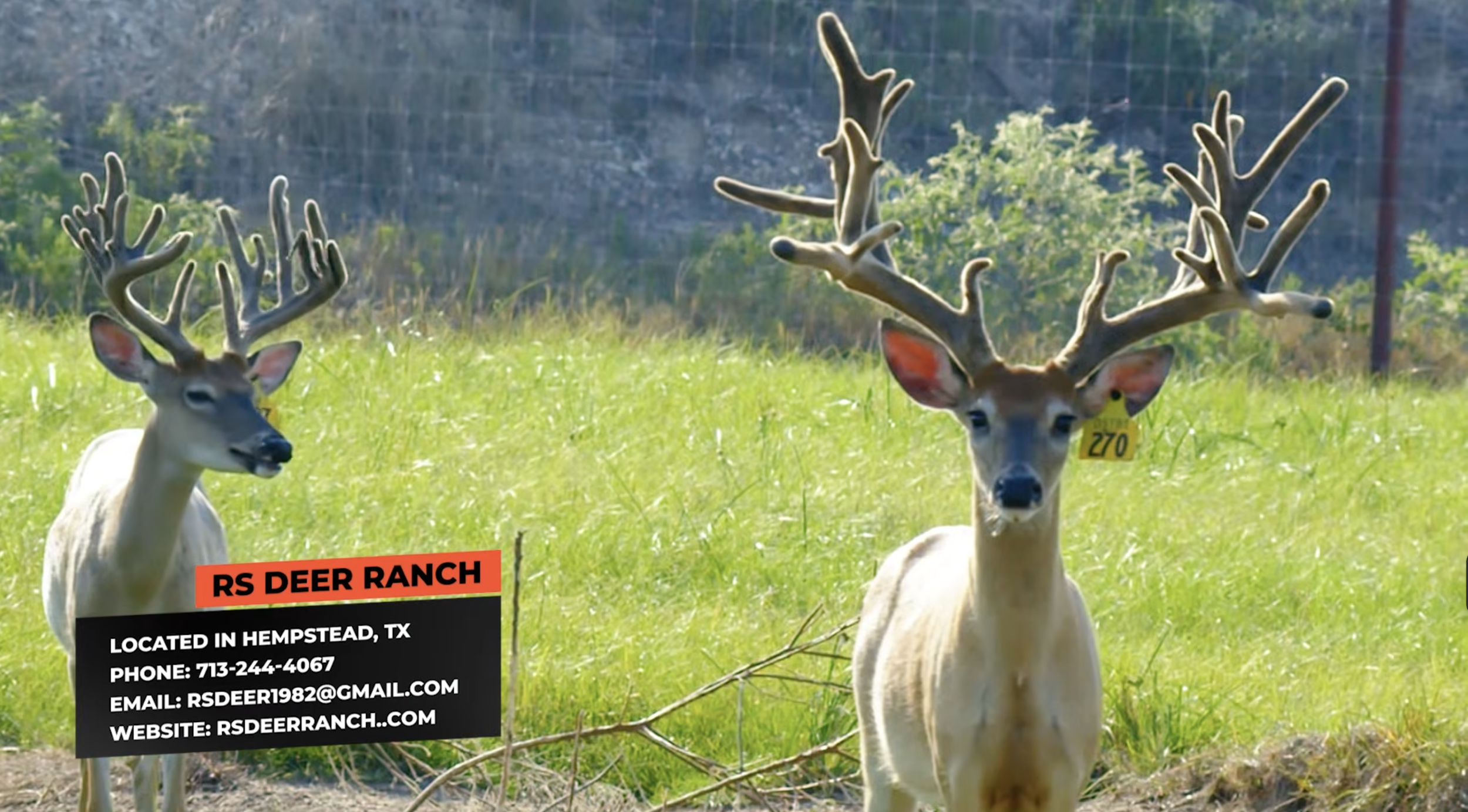 Screenshot 2026-01-29 at 1.03.41 PM.png