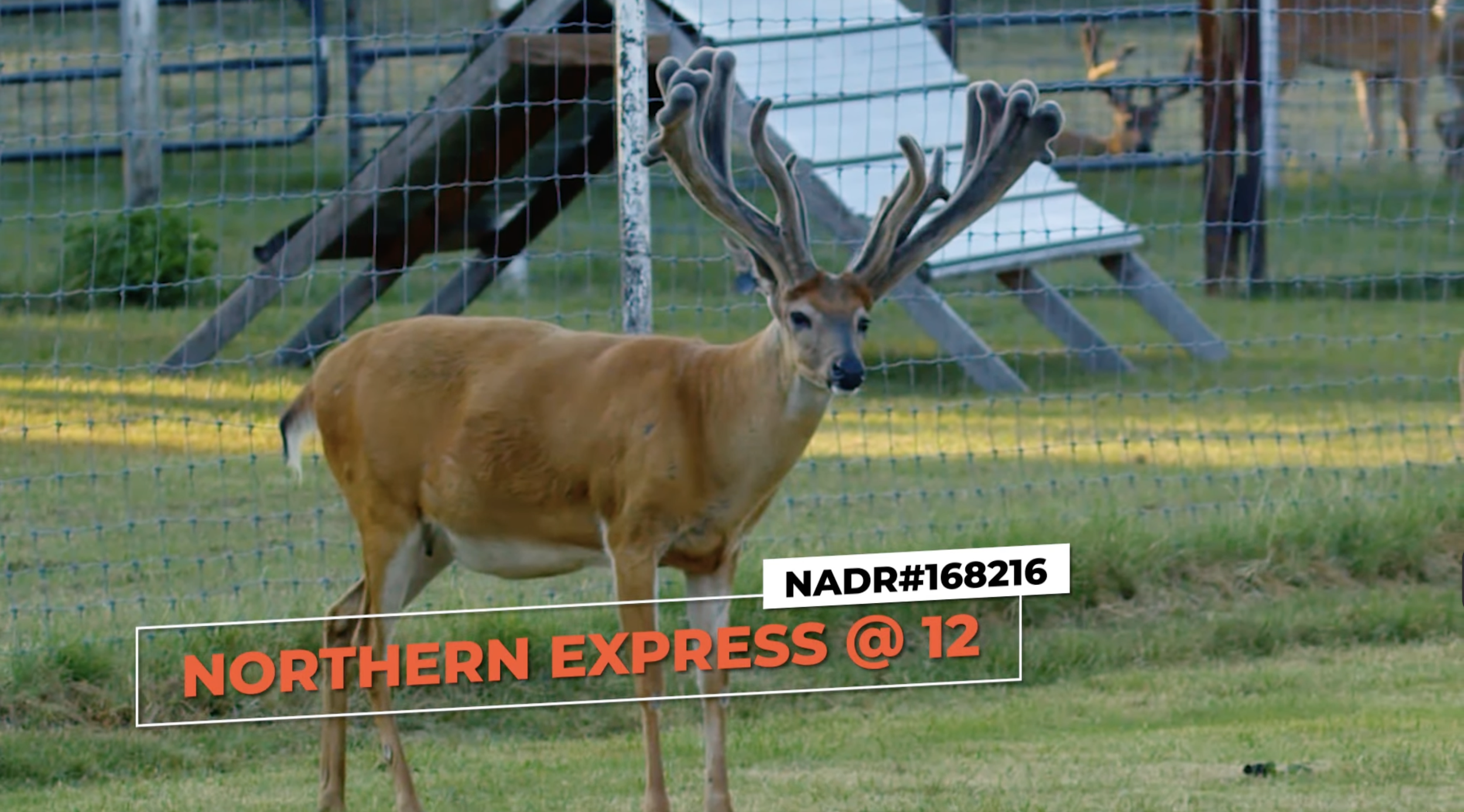 Screenshot 2026-01-29 at 12.10.19 PM.png