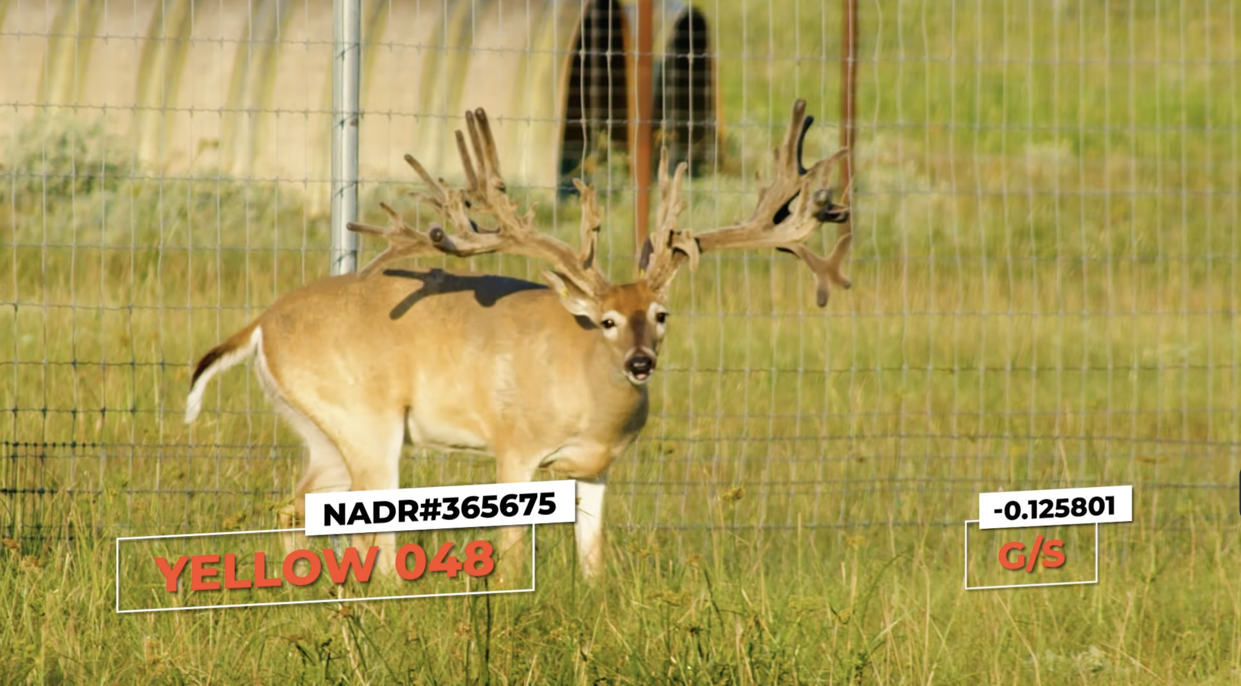 Screenshot 2026-01-29 at 1.06.50 PM.png