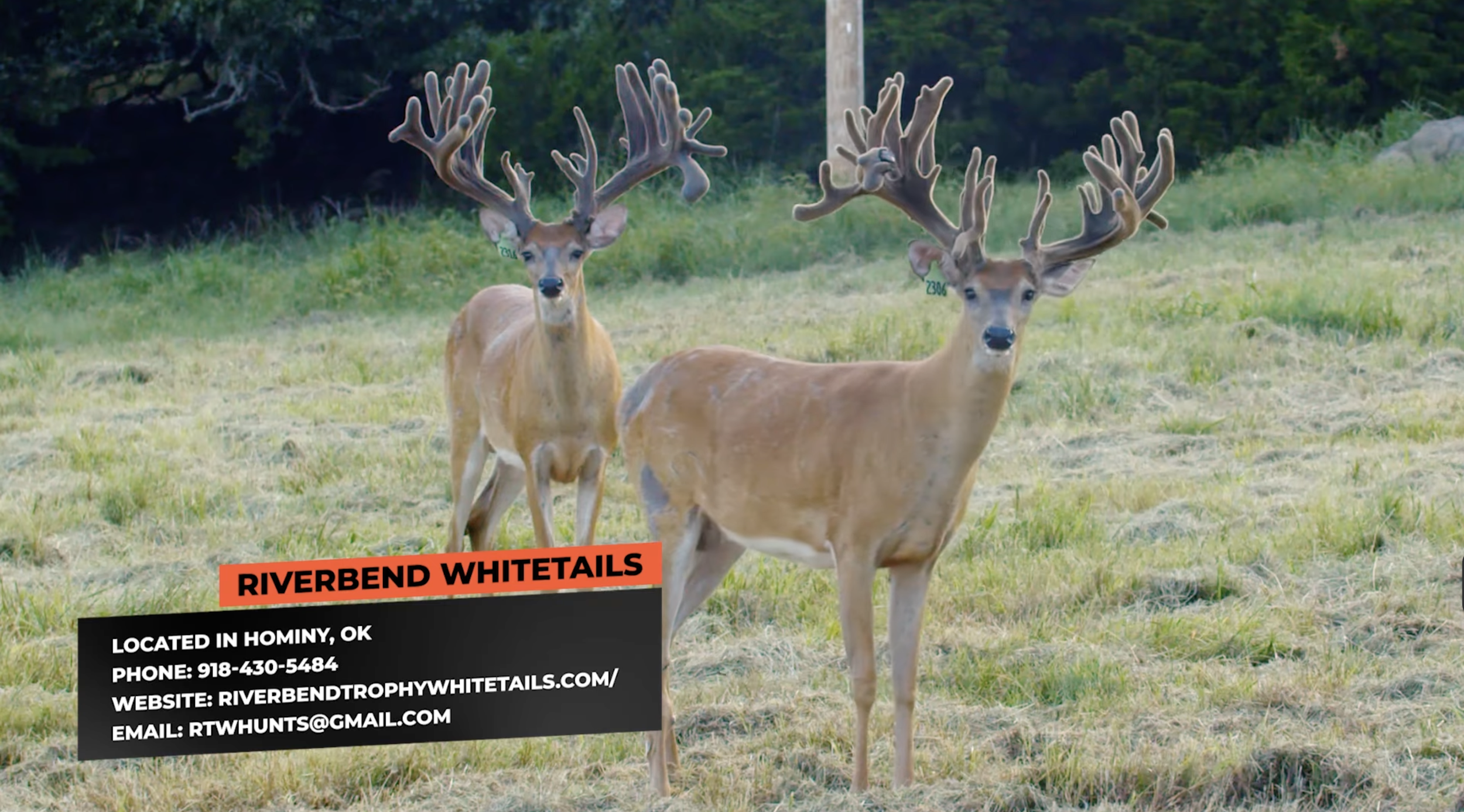 Screenshot 2026-01-29 at 12.14.12 PM.png