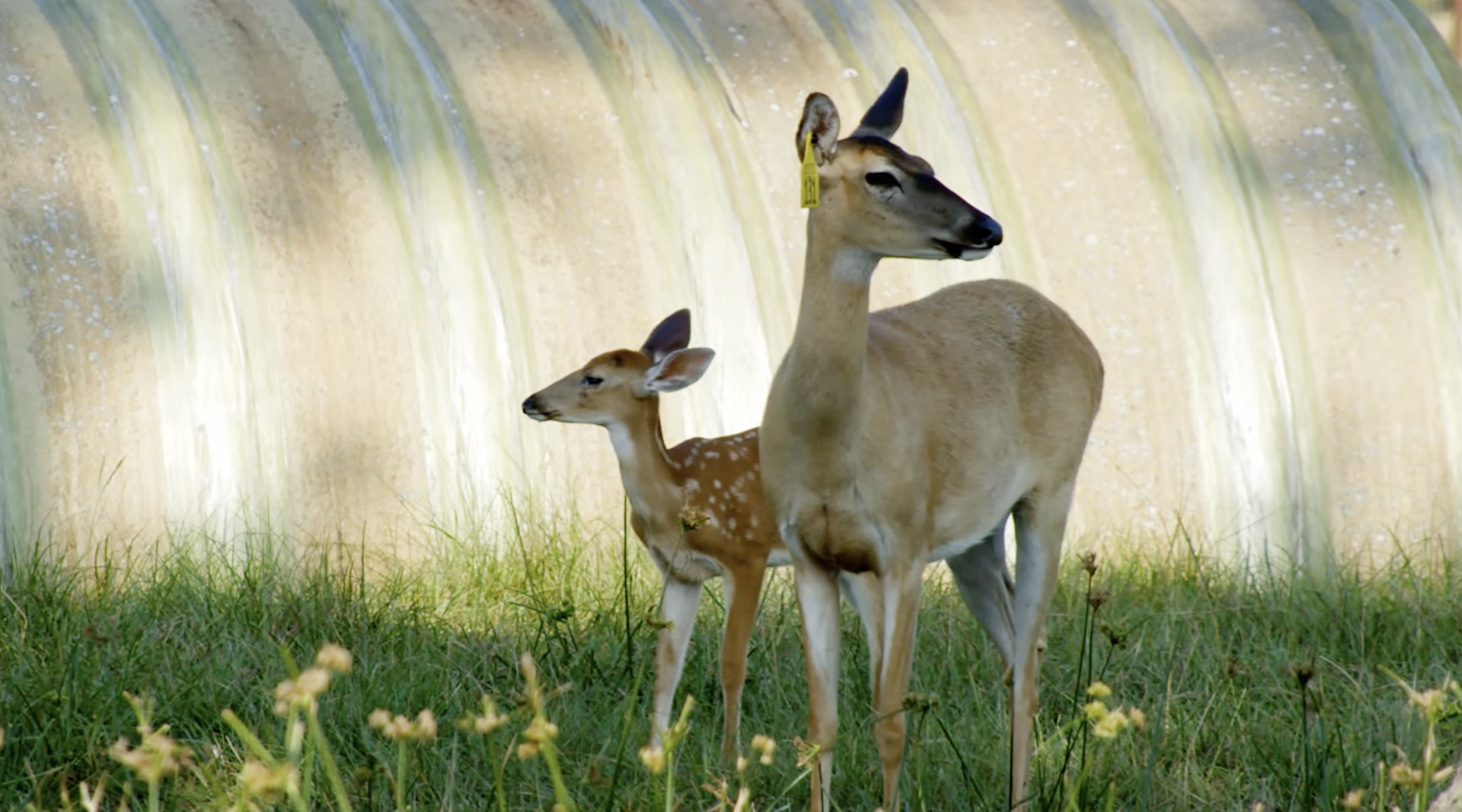 Screenshot 2026-01-29 at 1.07.21 PM.png