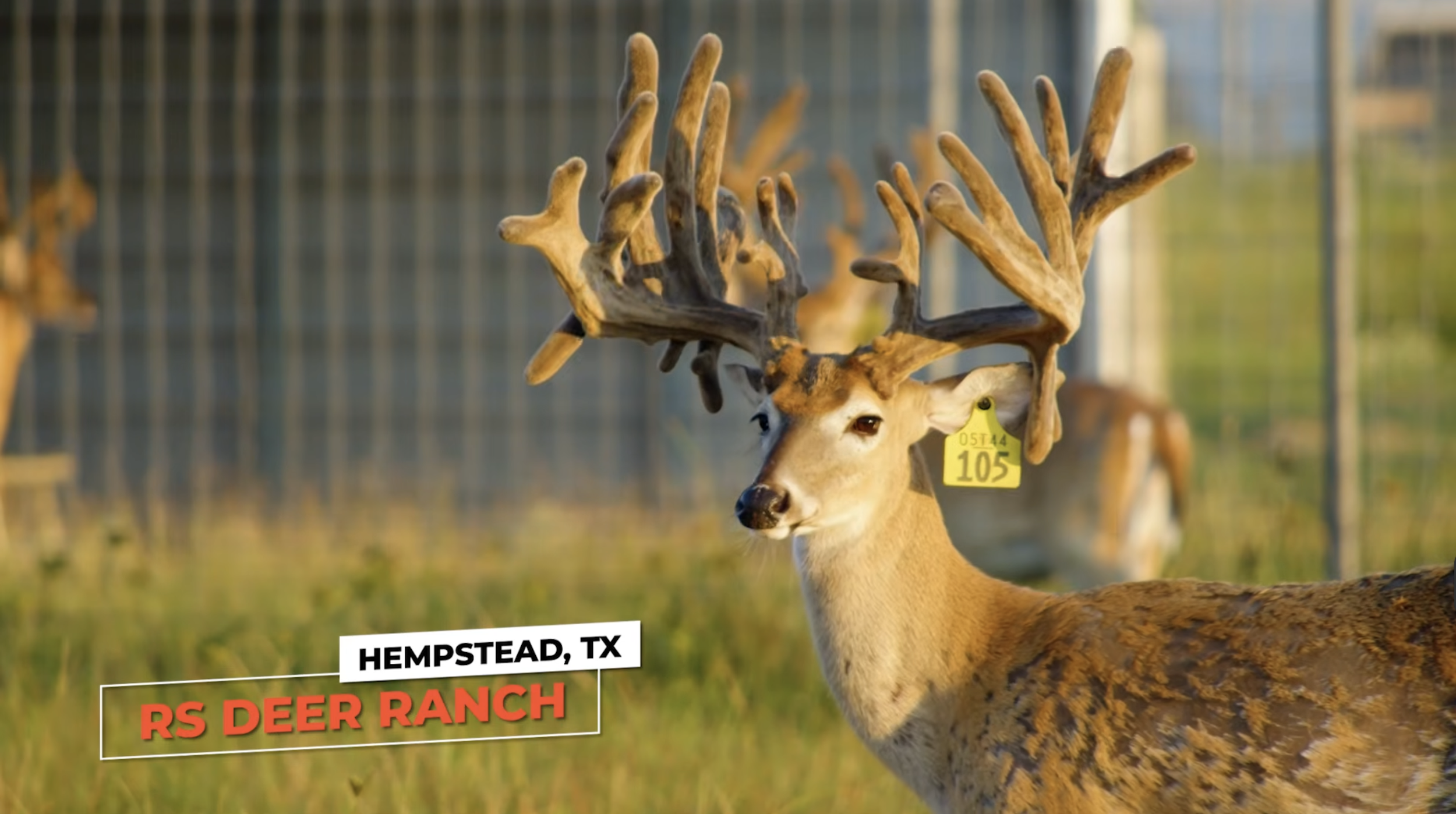 Screenshot 2026-01-29 at 1.06.13 PM.png