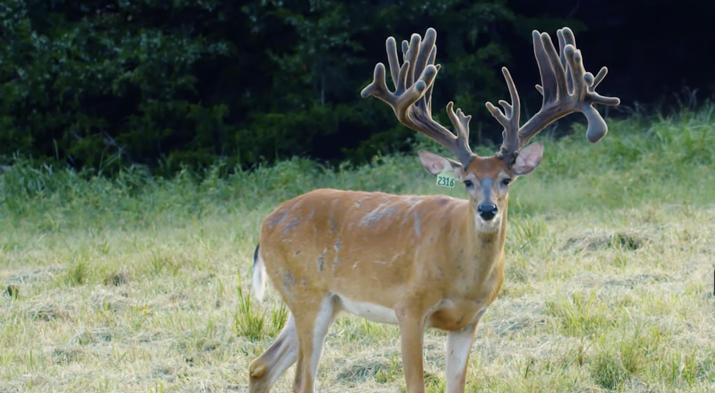 Screenshot 2026-01-29 at 12.13.30 PM.png