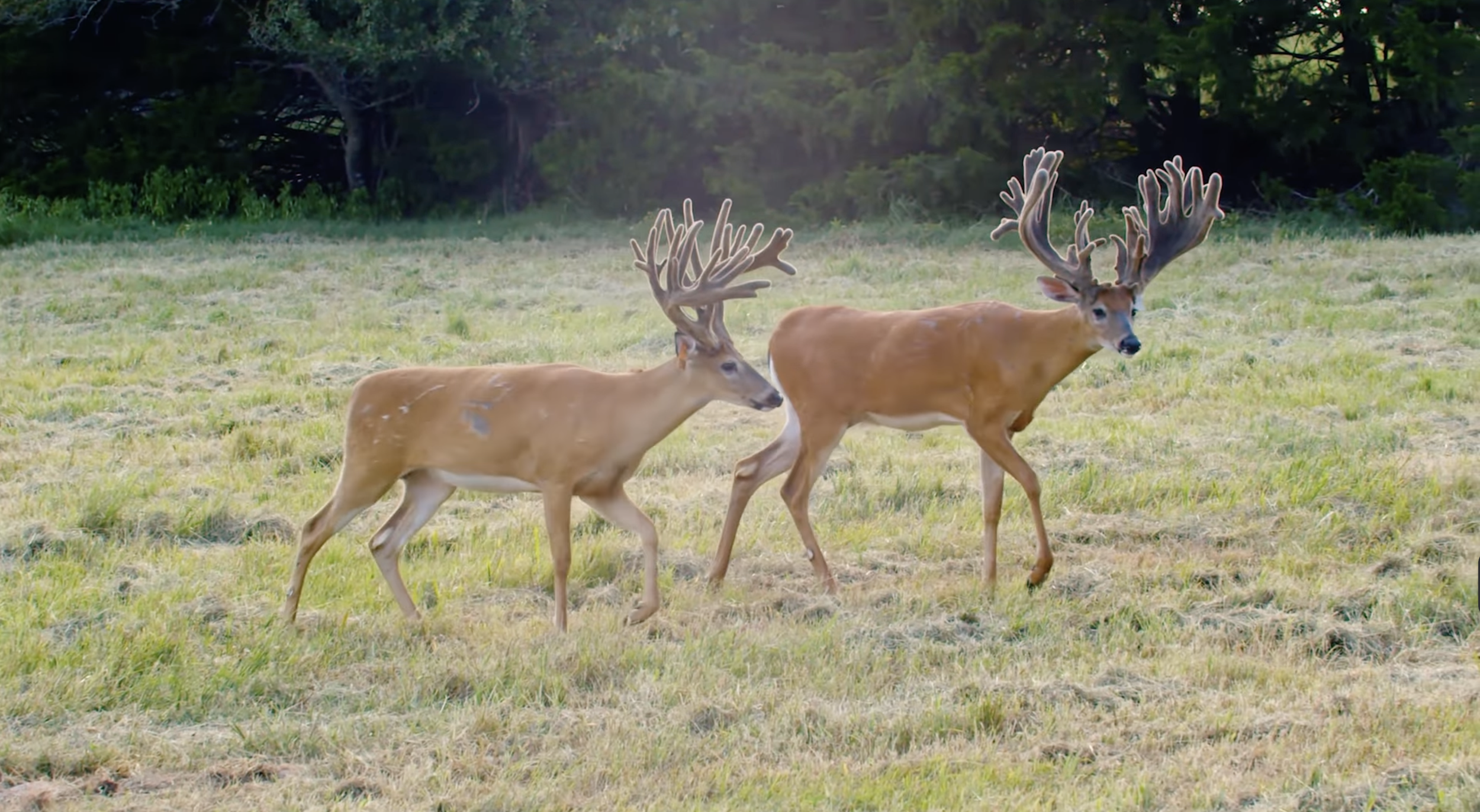 Screenshot 2026-01-29 at 12.12.10 PM.png