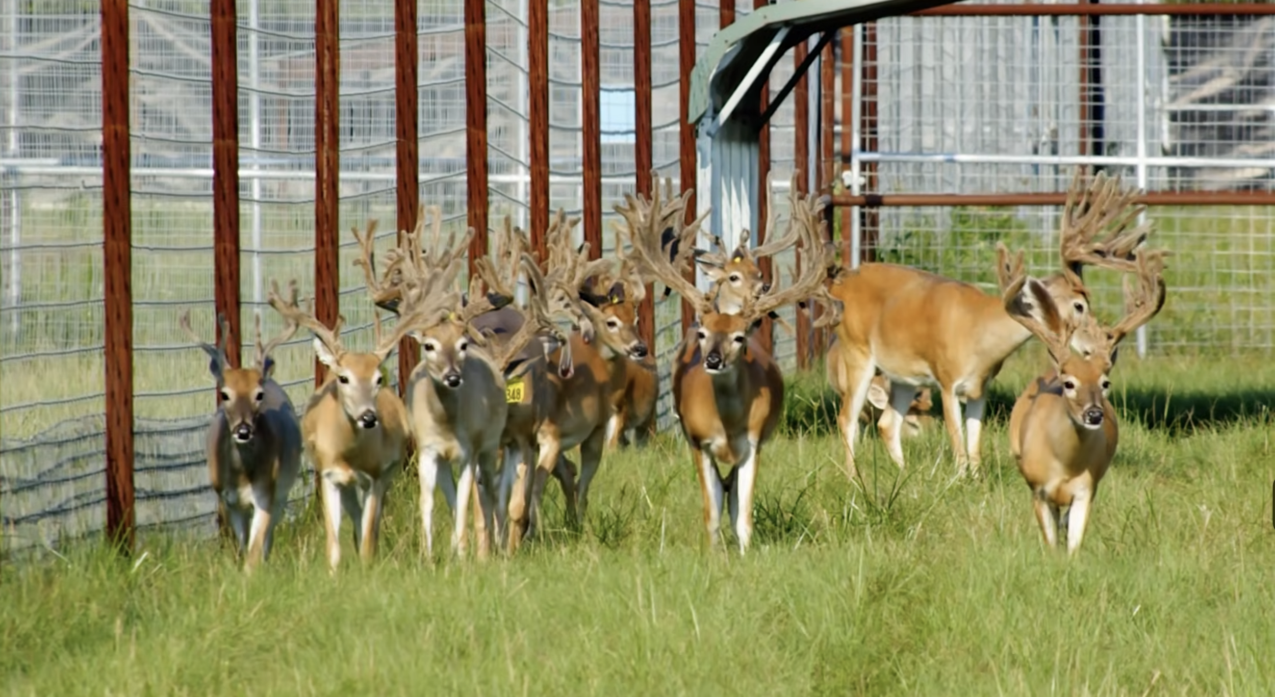 Screenshot 2026-01-29 at 1.00.40 PM.png