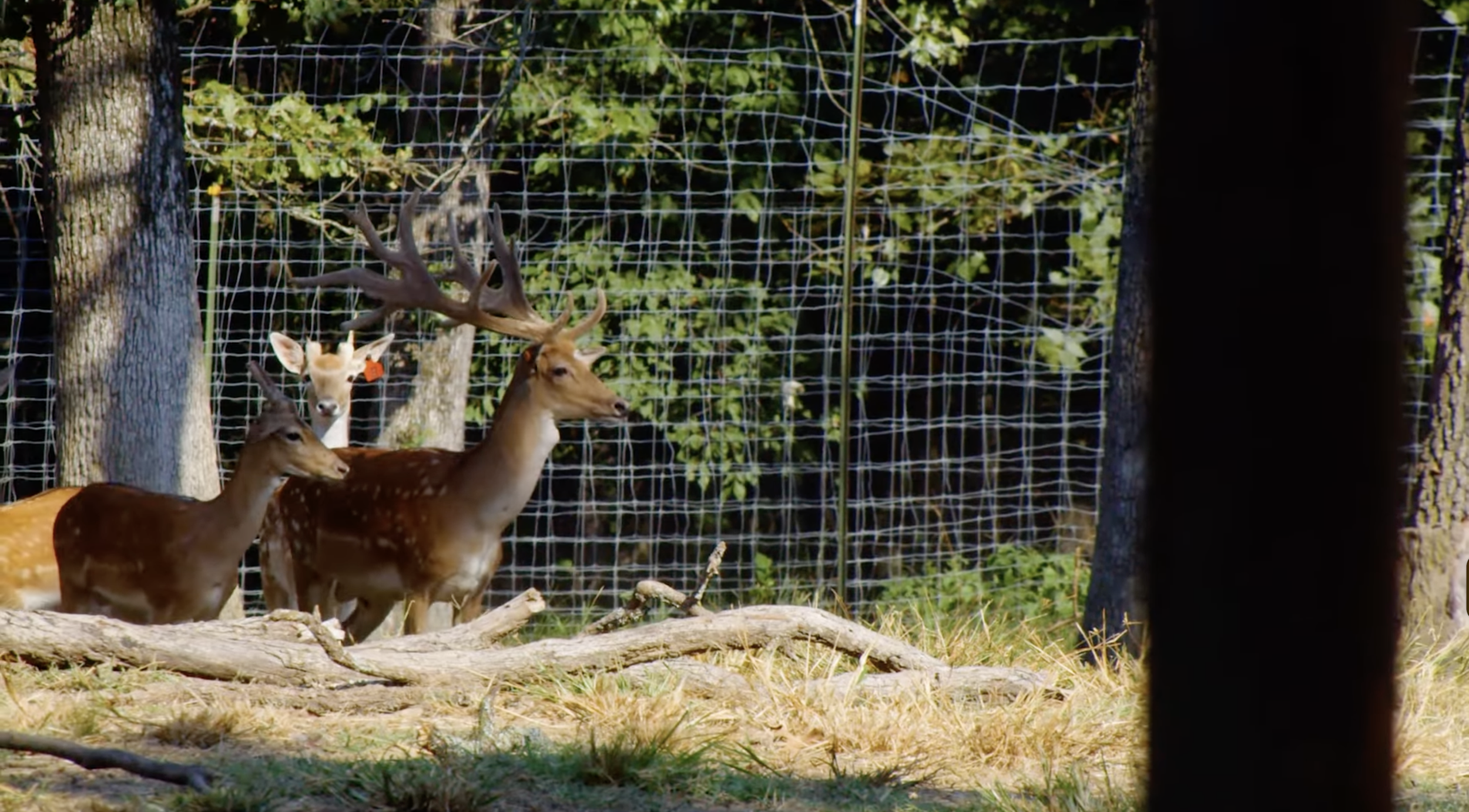 Screenshot 2026-01-29 at 10.45.23 AM.png