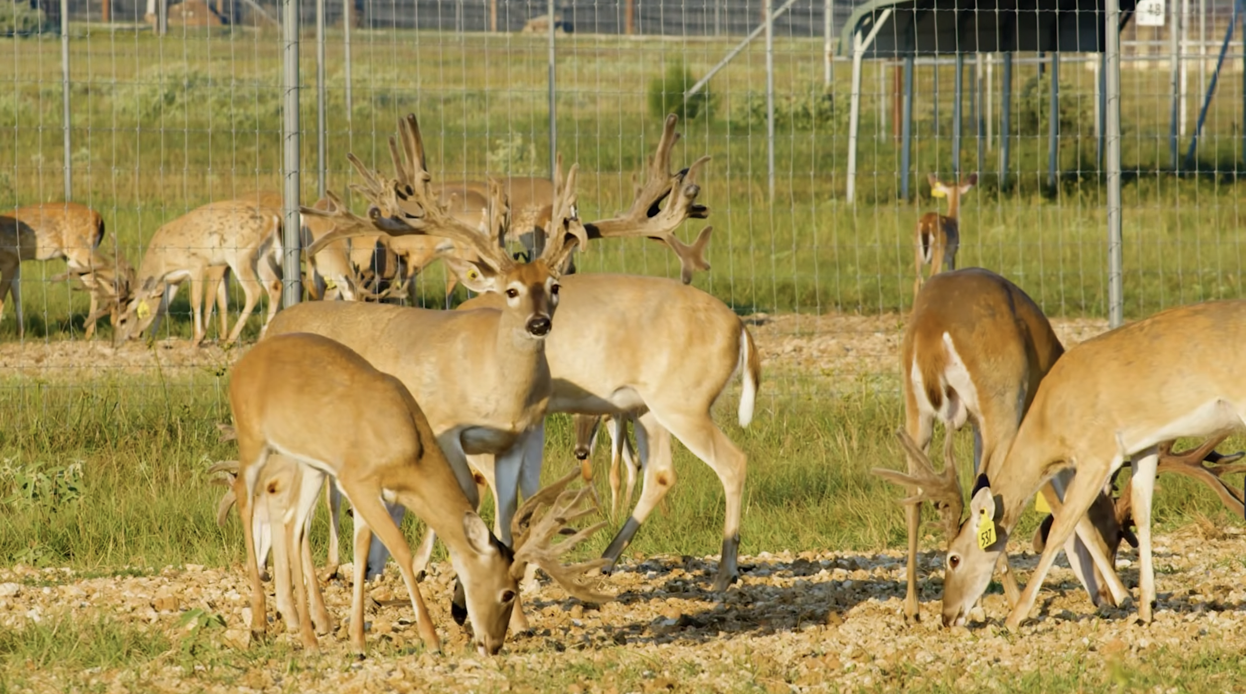 Screenshot 2026-01-29 at 1.02.33 PM.png