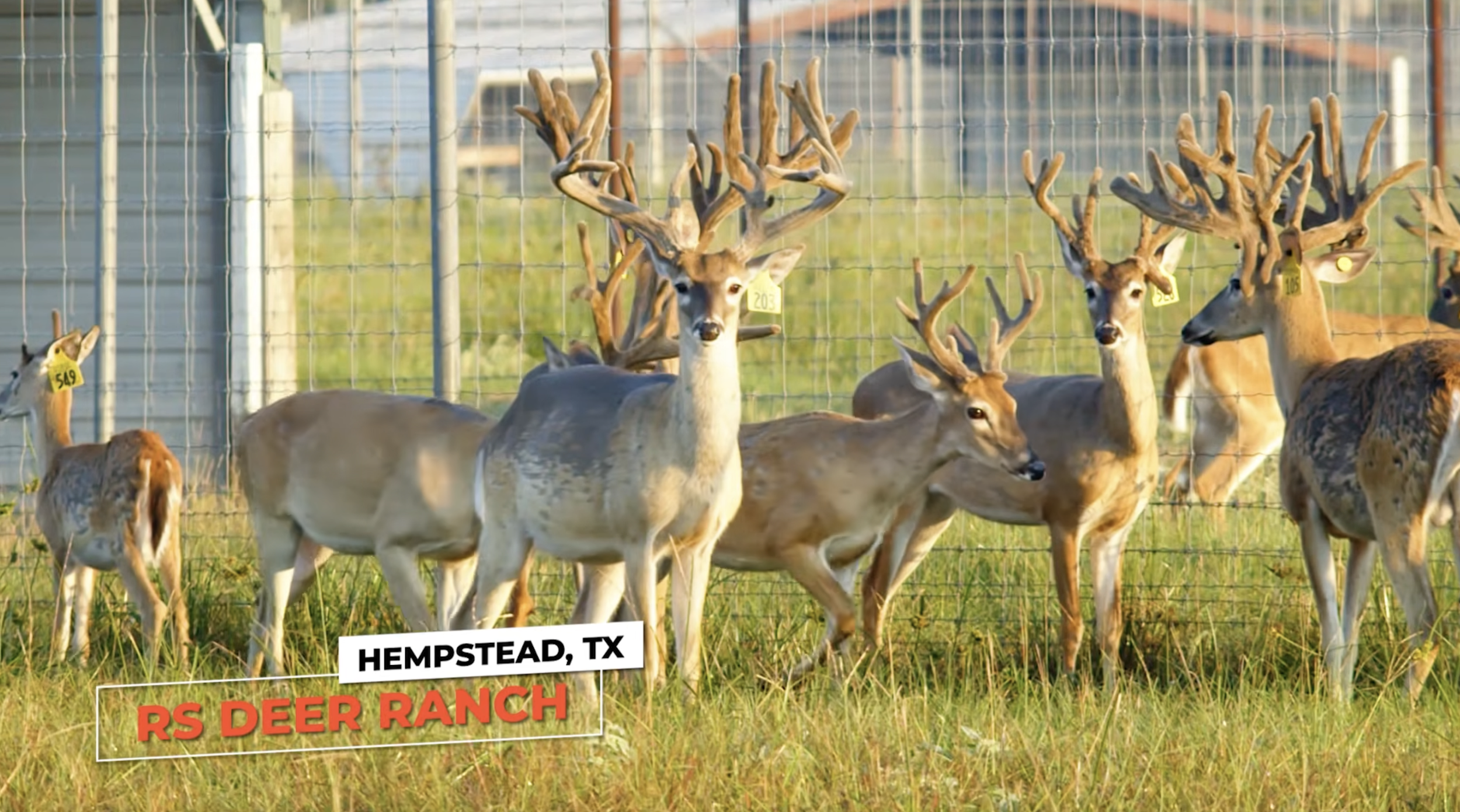 Screenshot 2026-01-29 at 1.00.04 PM.png