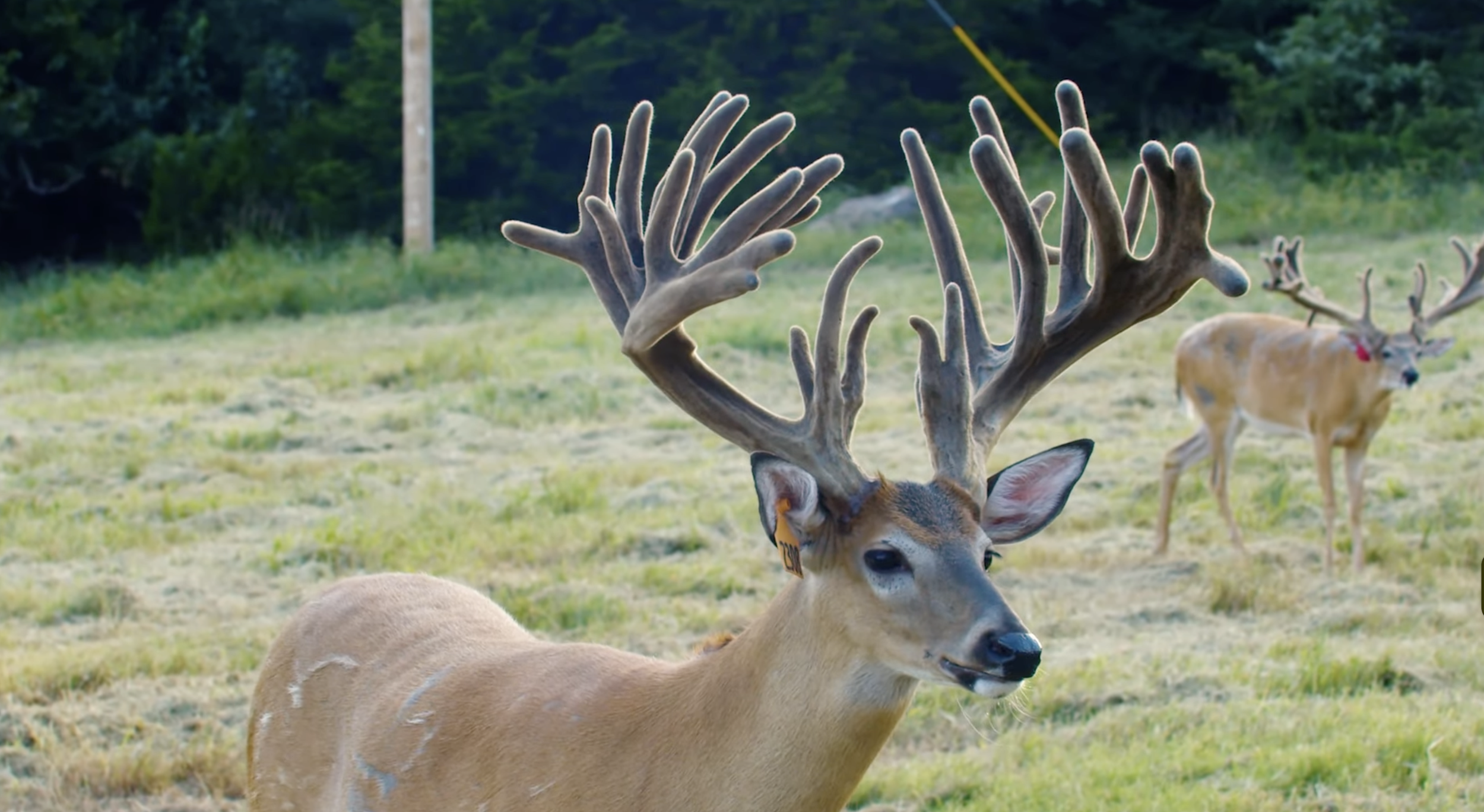 Screenshot 2026-01-29 at 12.13.11 PM.png