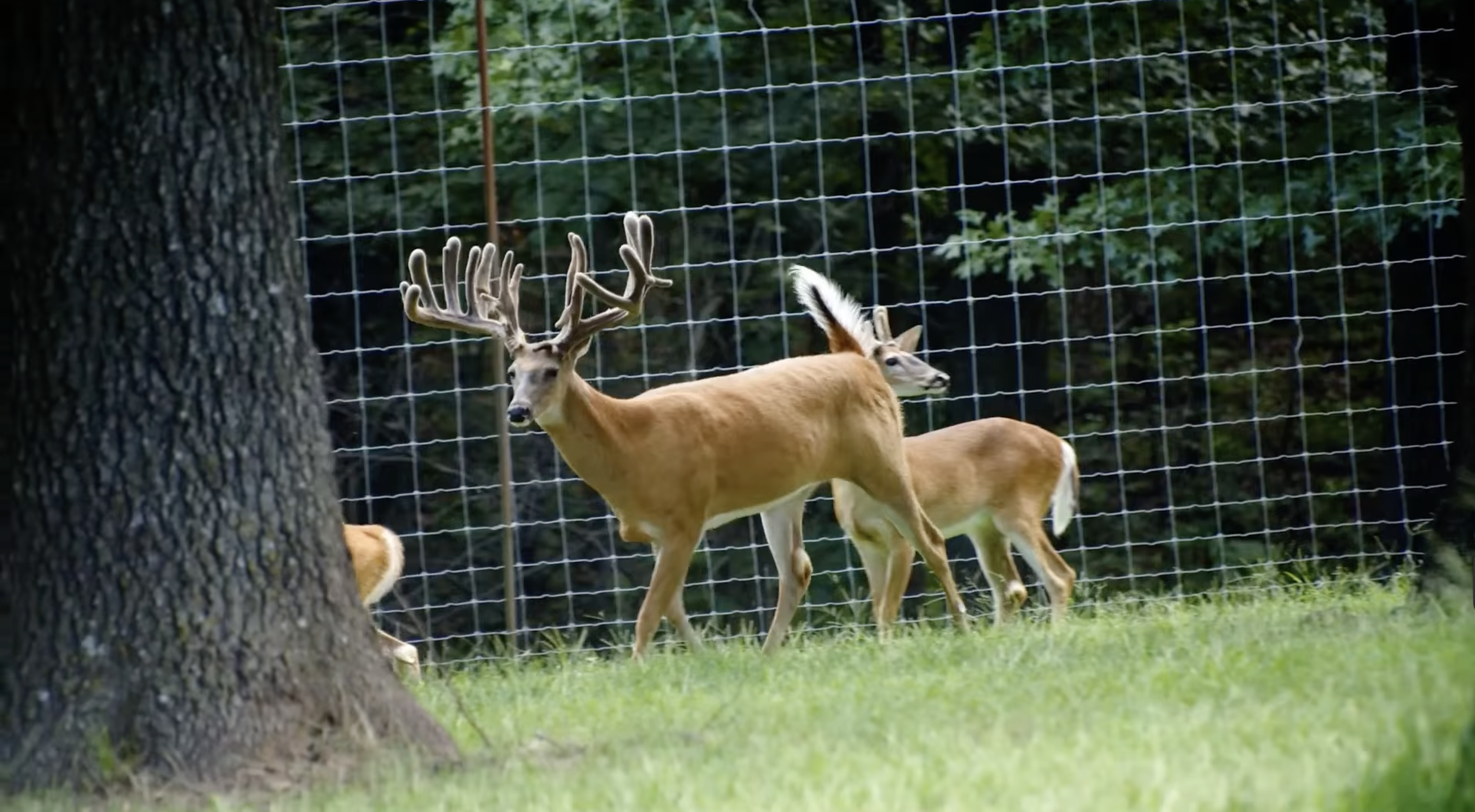 Screenshot 2026-01-29 at 10.44.42 AM.png