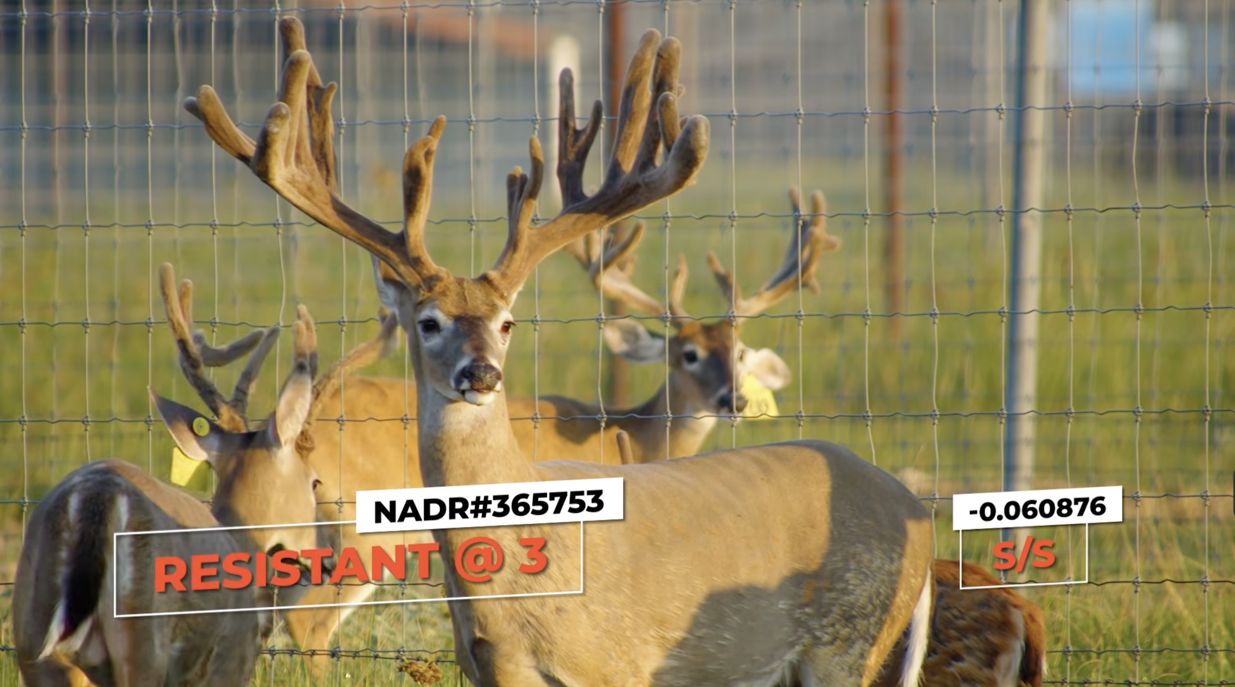 Screenshot 2026-01-29 at 1.05.33 PM.png