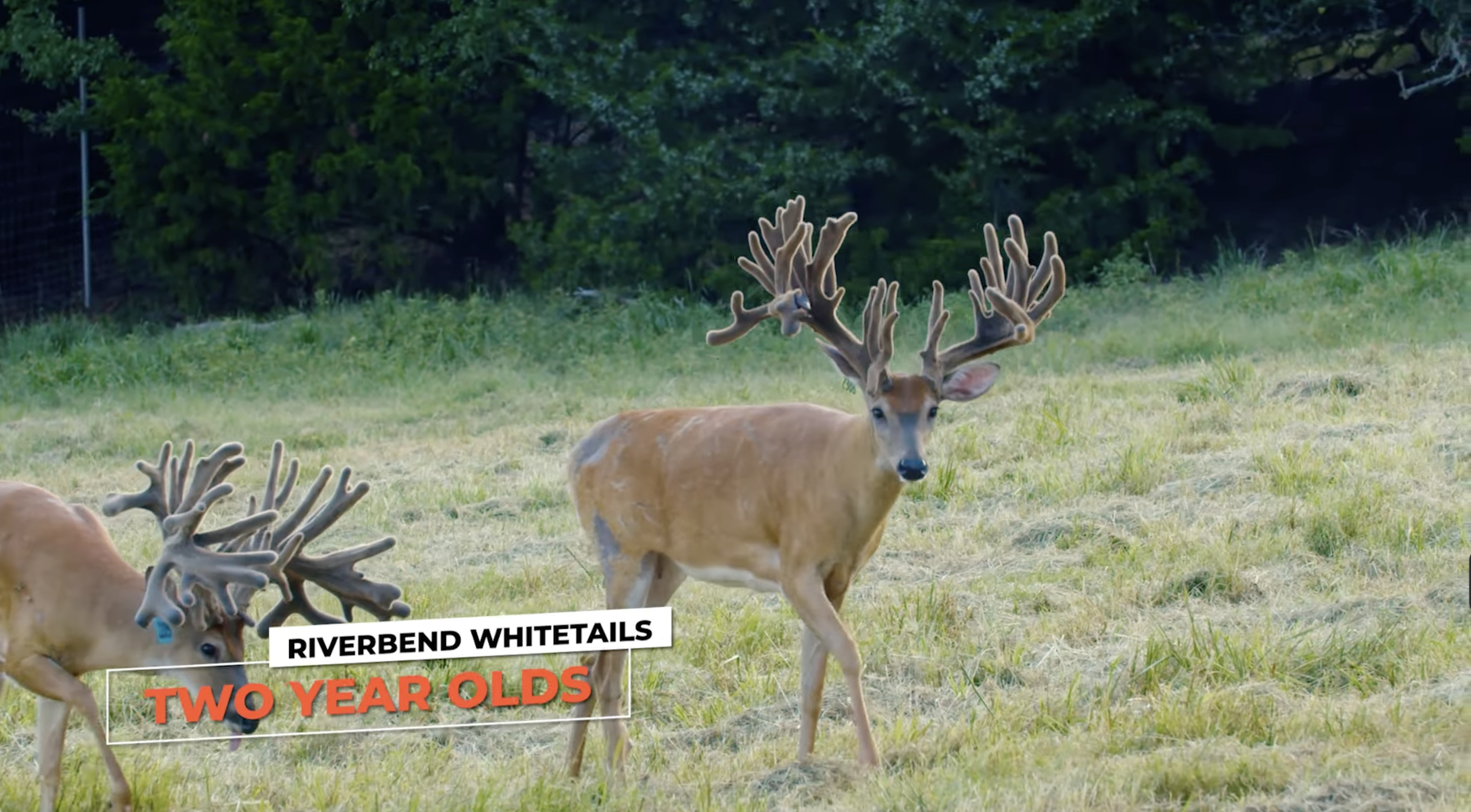 Screenshot 2026-01-29 at 12.11.48 PM.png