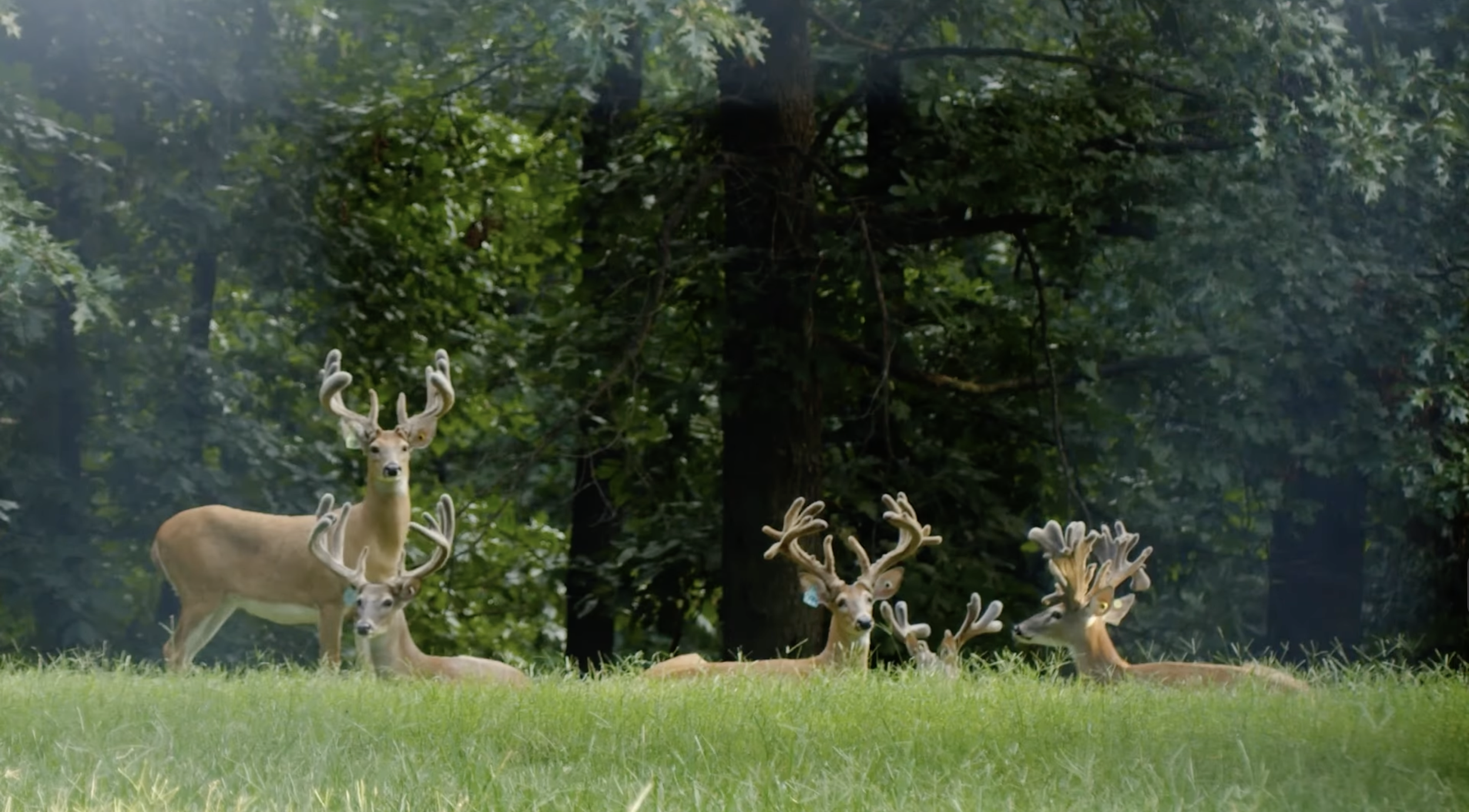 Screenshot 2026-01-29 at 10.44.51 AM.png