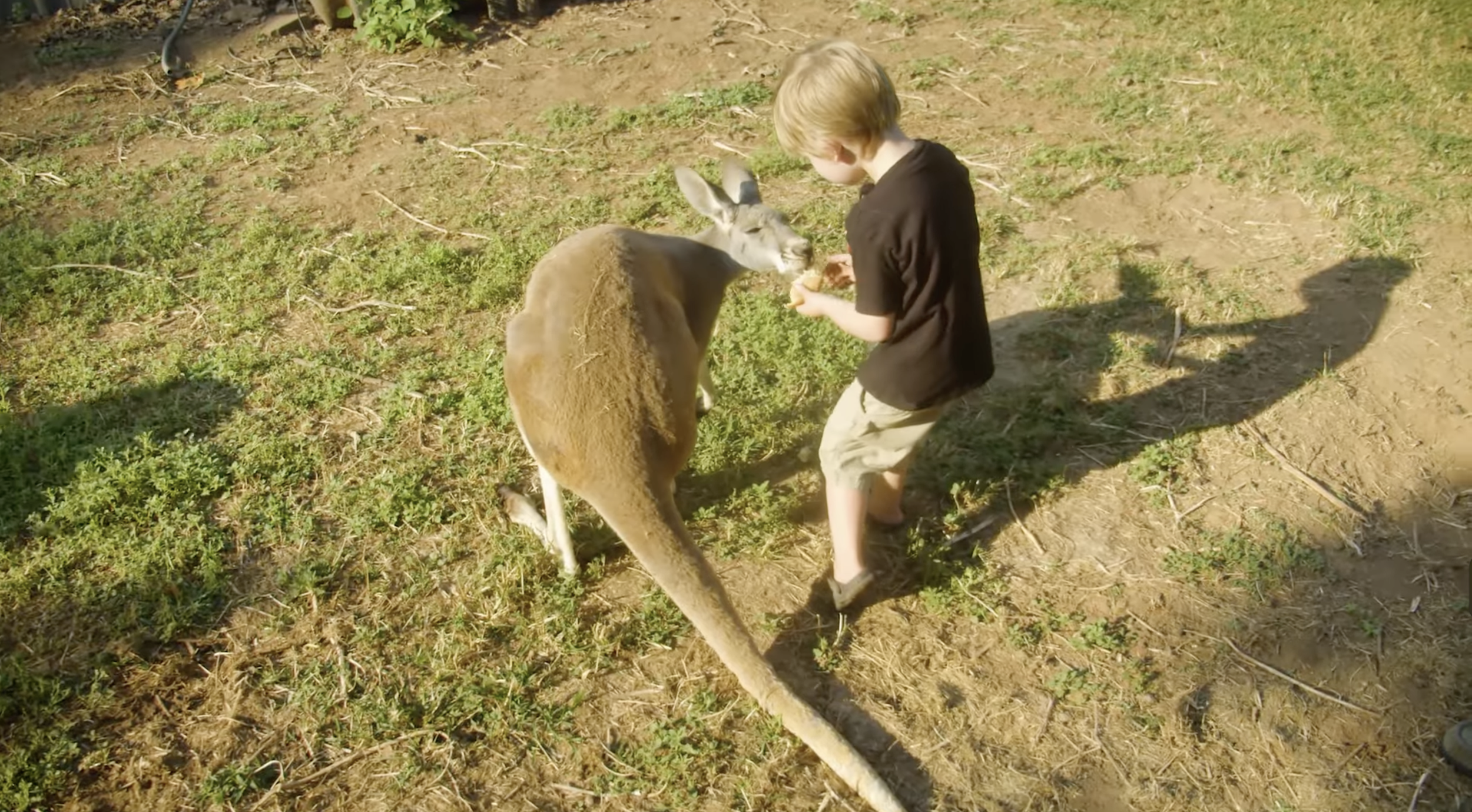 Screenshot 2026-01-29 at 10.44.11 AM.png