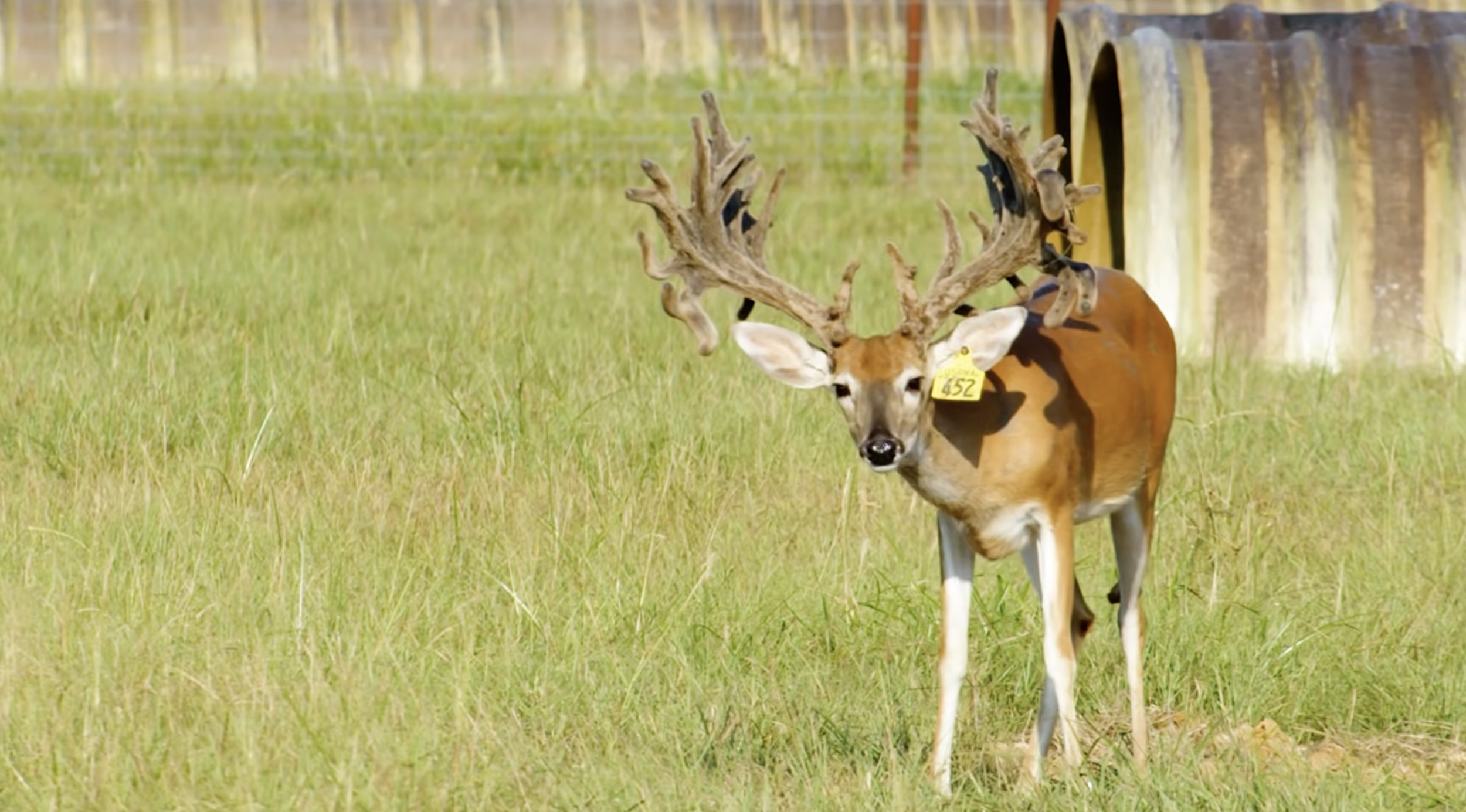 Screenshot 2026-01-29 at 1.00.51 PM.png