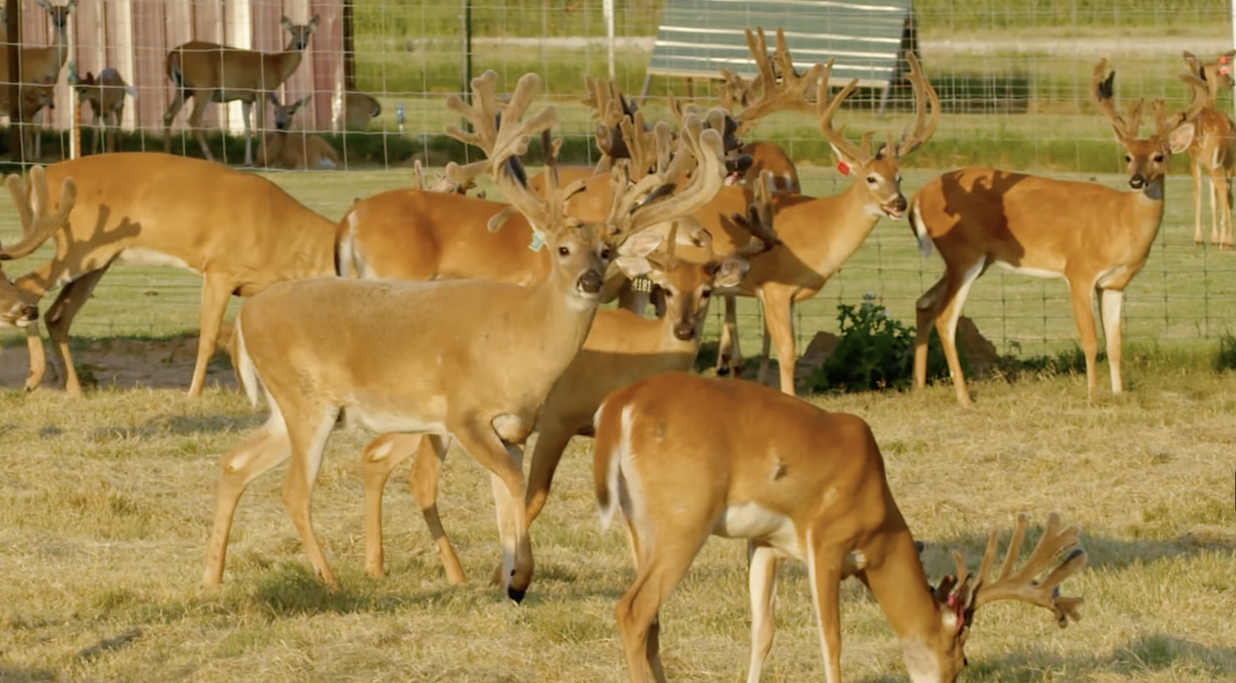 Screenshot 2026-01-29 at 12.15.59 PM.png