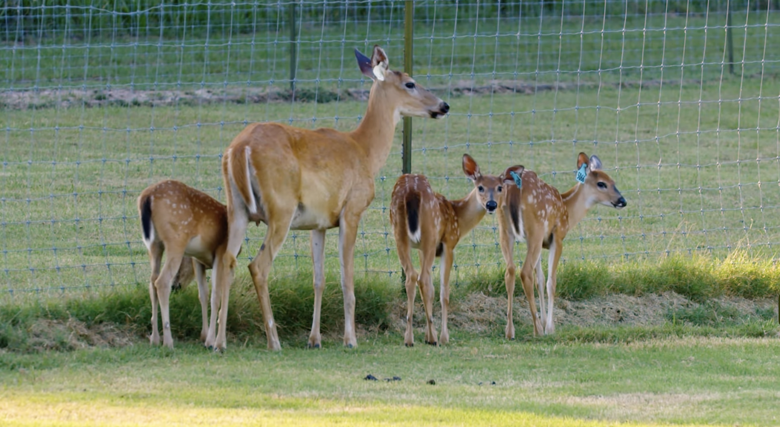 Screenshot 2026-01-29 at 12.10.49 PM.png