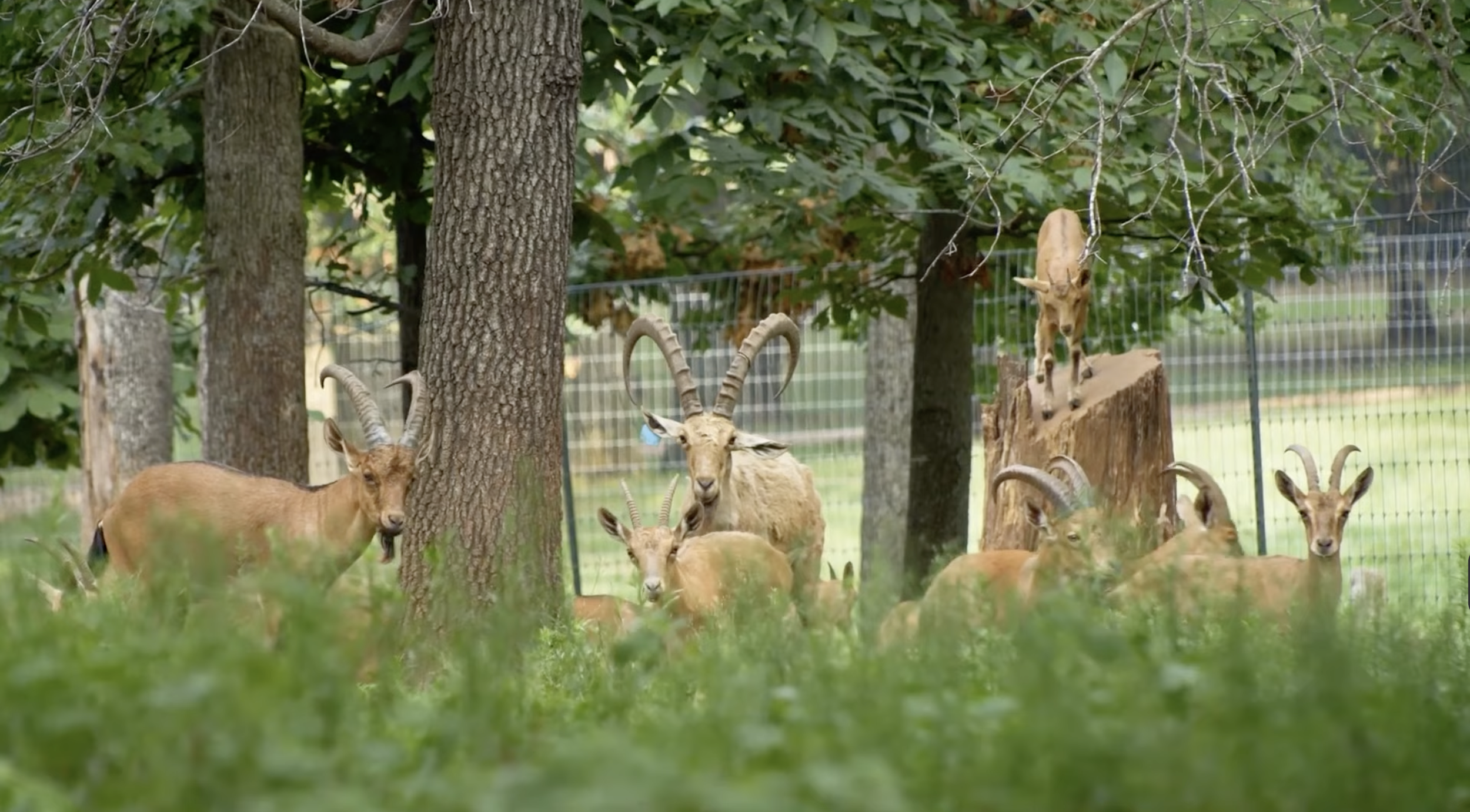 Screenshot 2026-01-29 at 10.45.07 AM.png