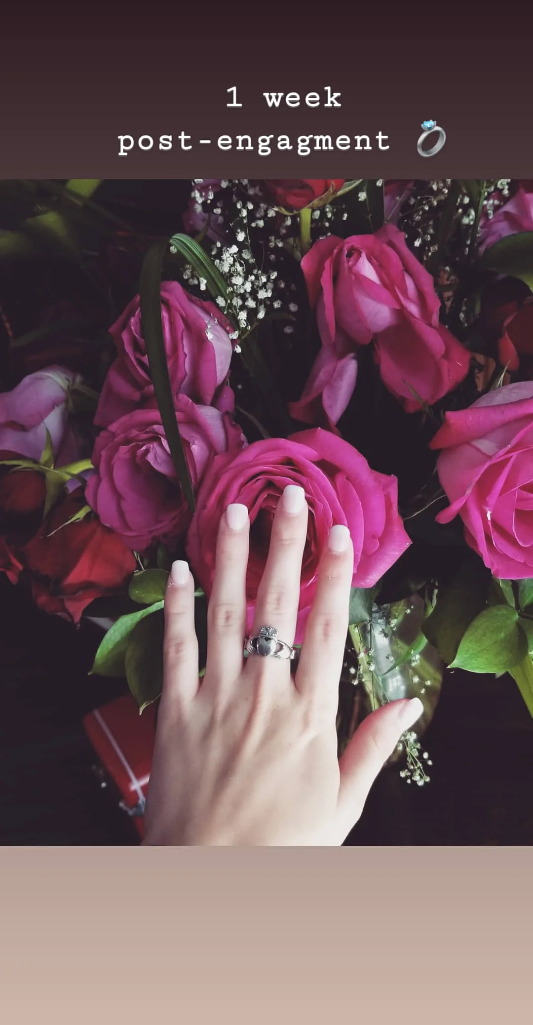 How to Home Dry Roses