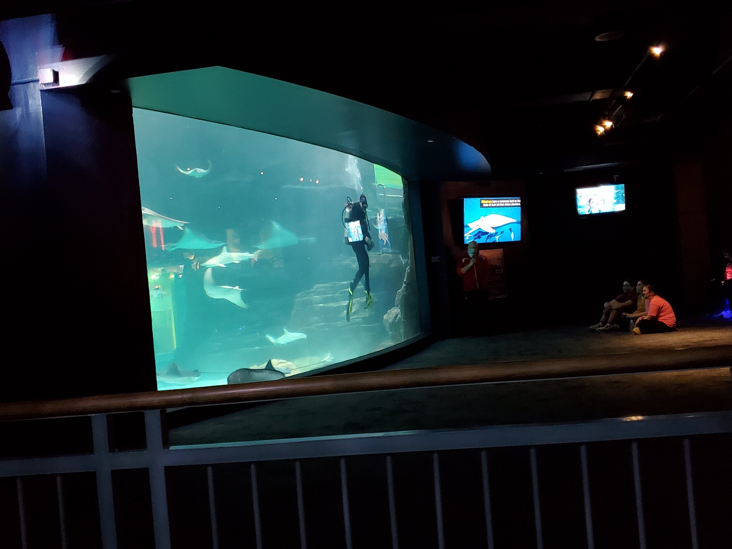 processed_20201020_140138.jpg