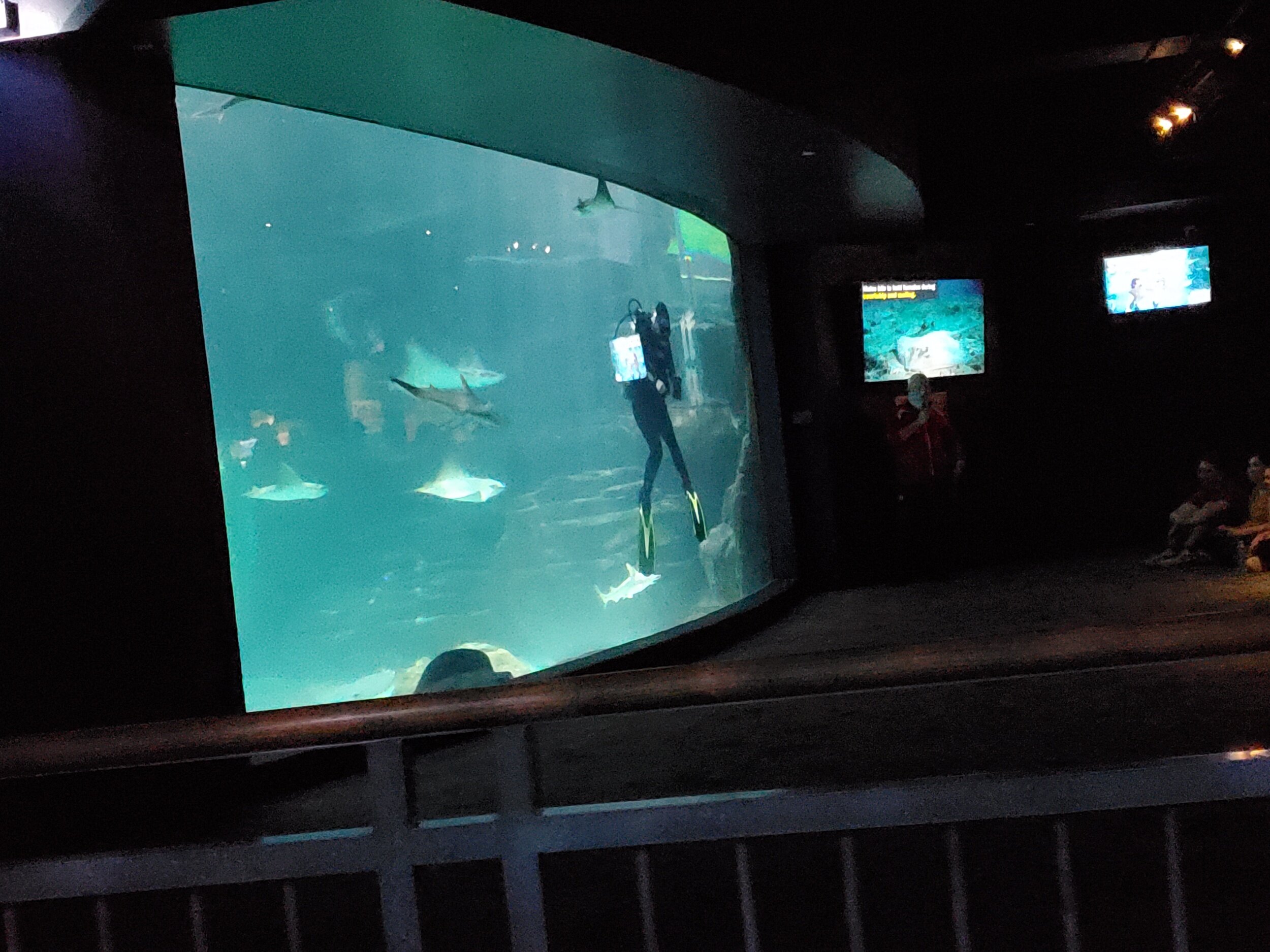 processed_20201020_140142.jpg