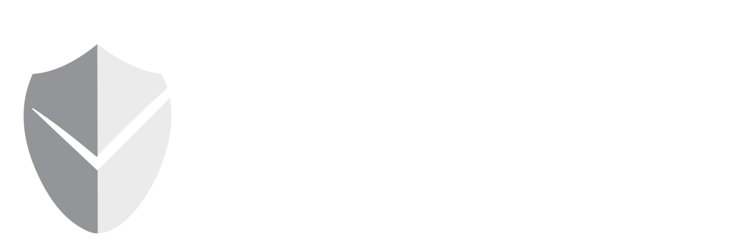 PALLADIS PAYMENT SOLUTIONS