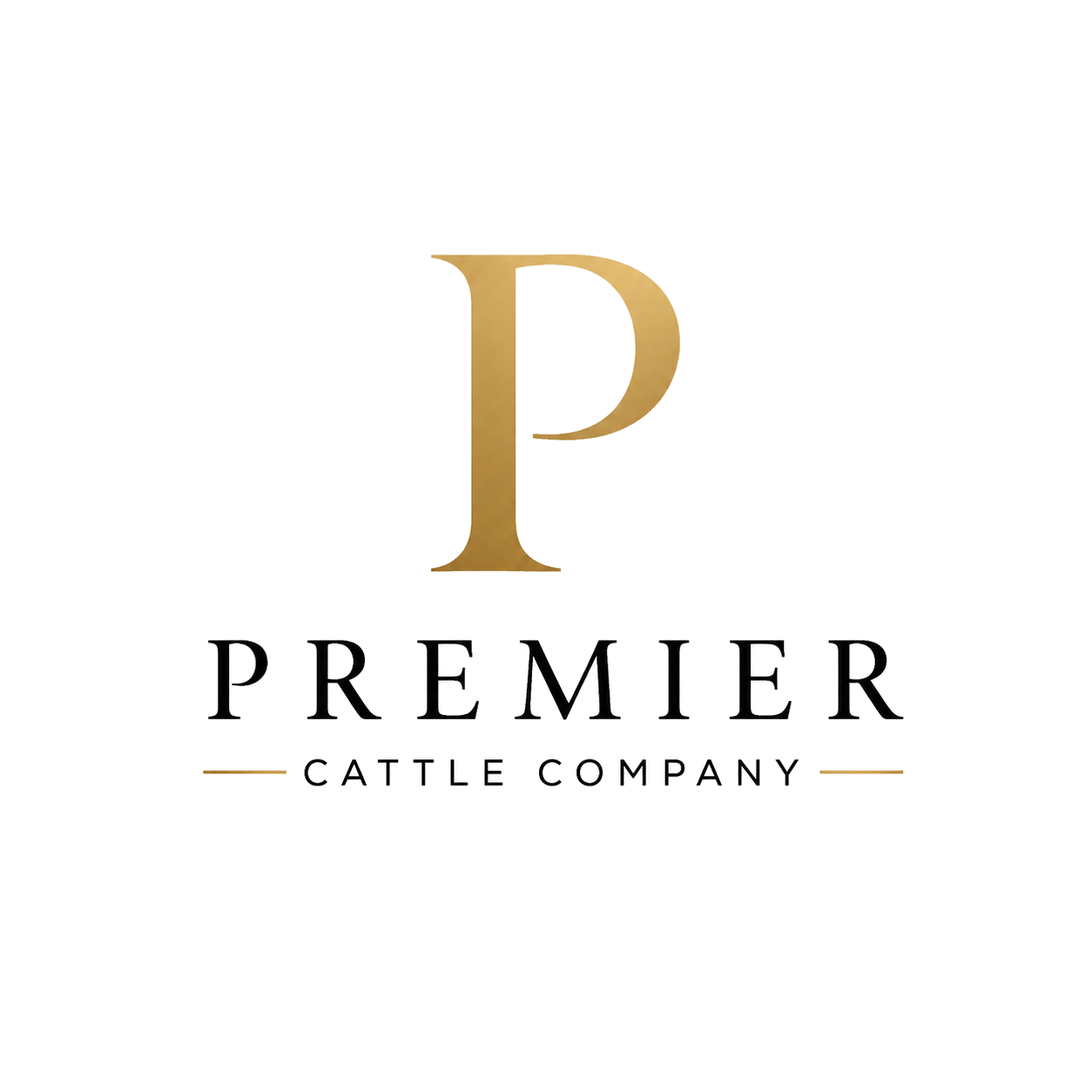 Premier Cattle Company - Speckle Park &amp; Murray Grey Bulls