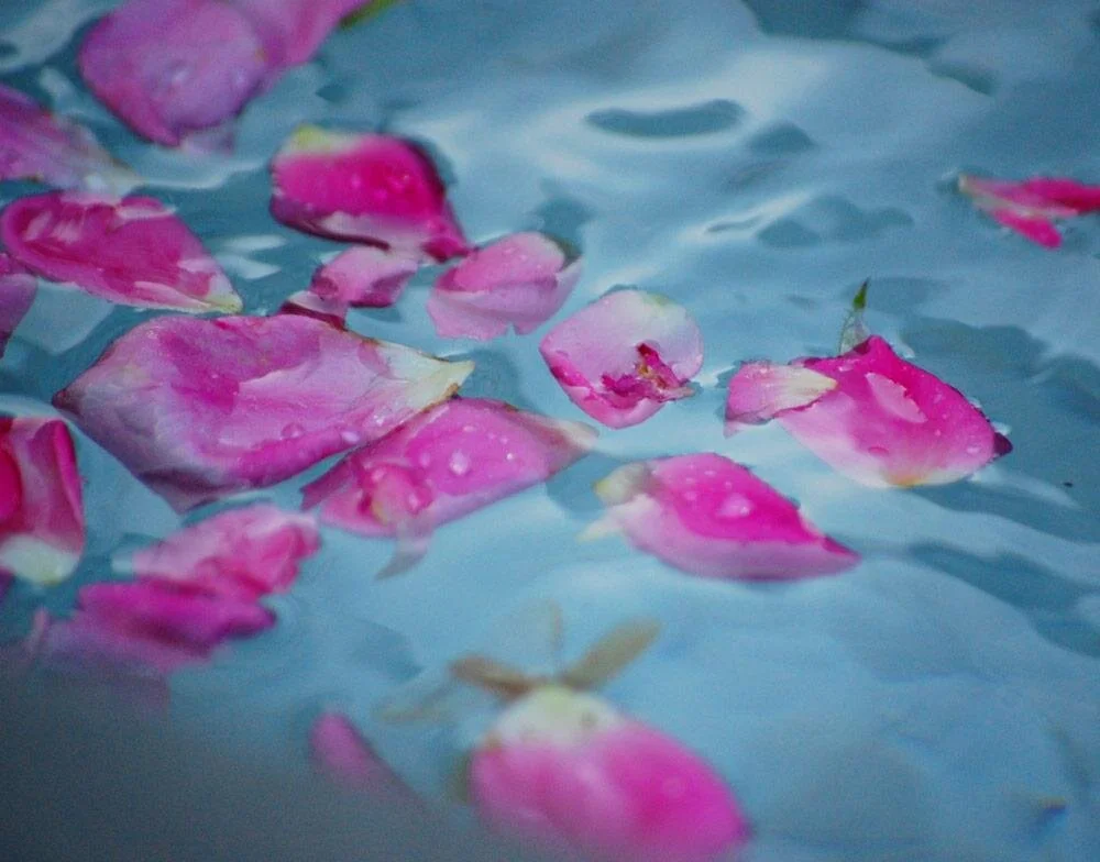 LIVE ONLINE CLASS Flower Essences for Stress, Overwhelm and Fatigue