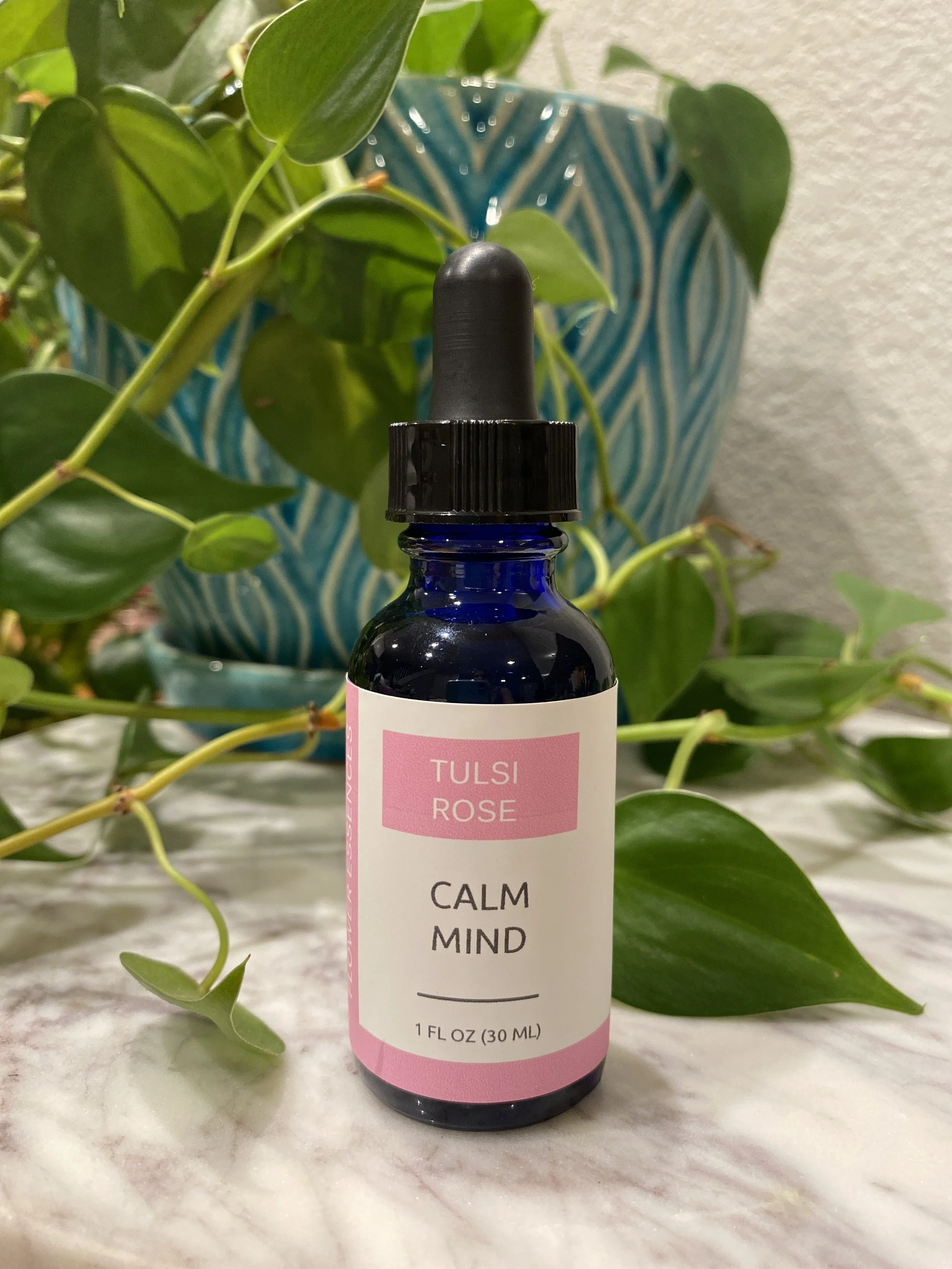 IMG_9997.jpg