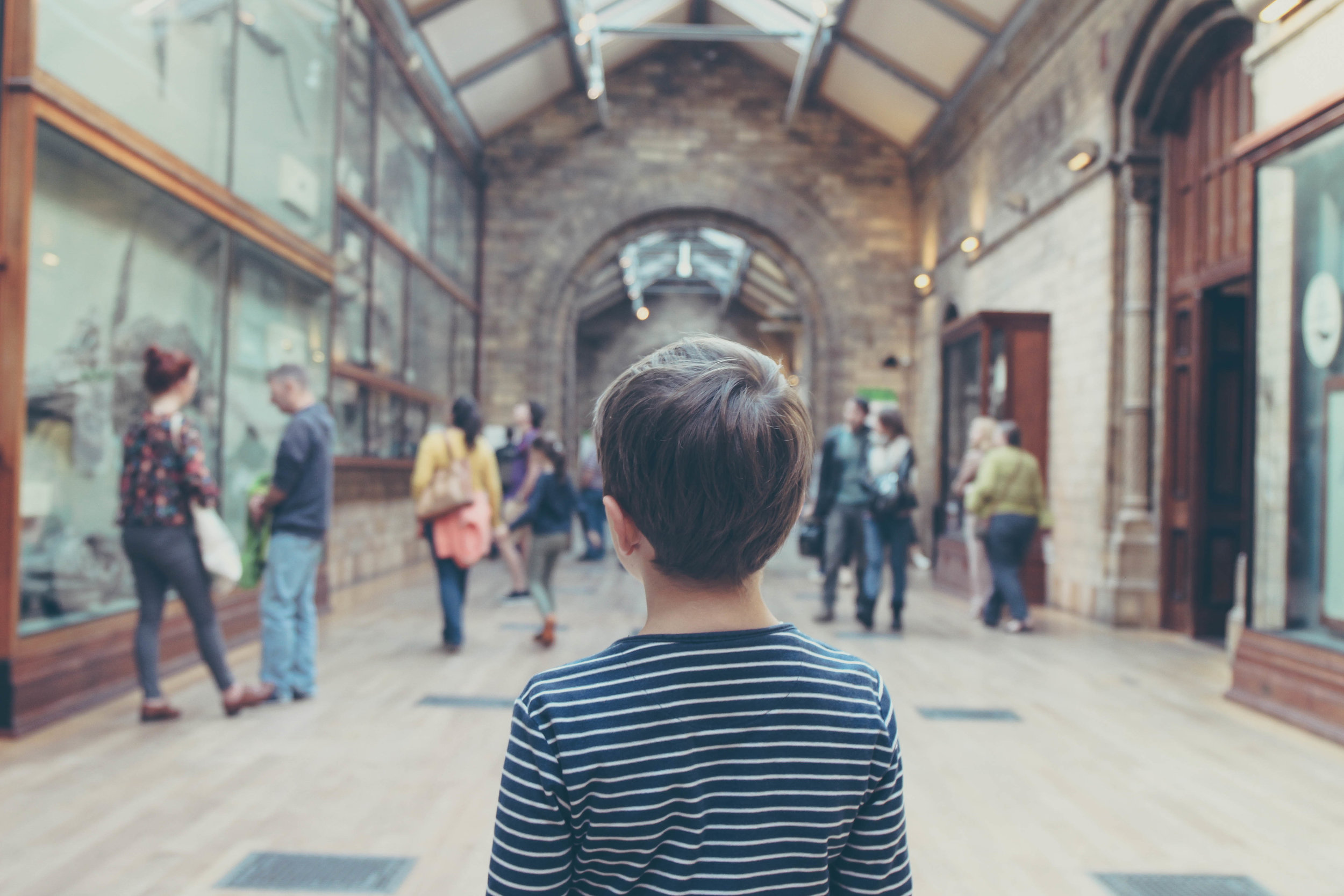 Visit a Museum