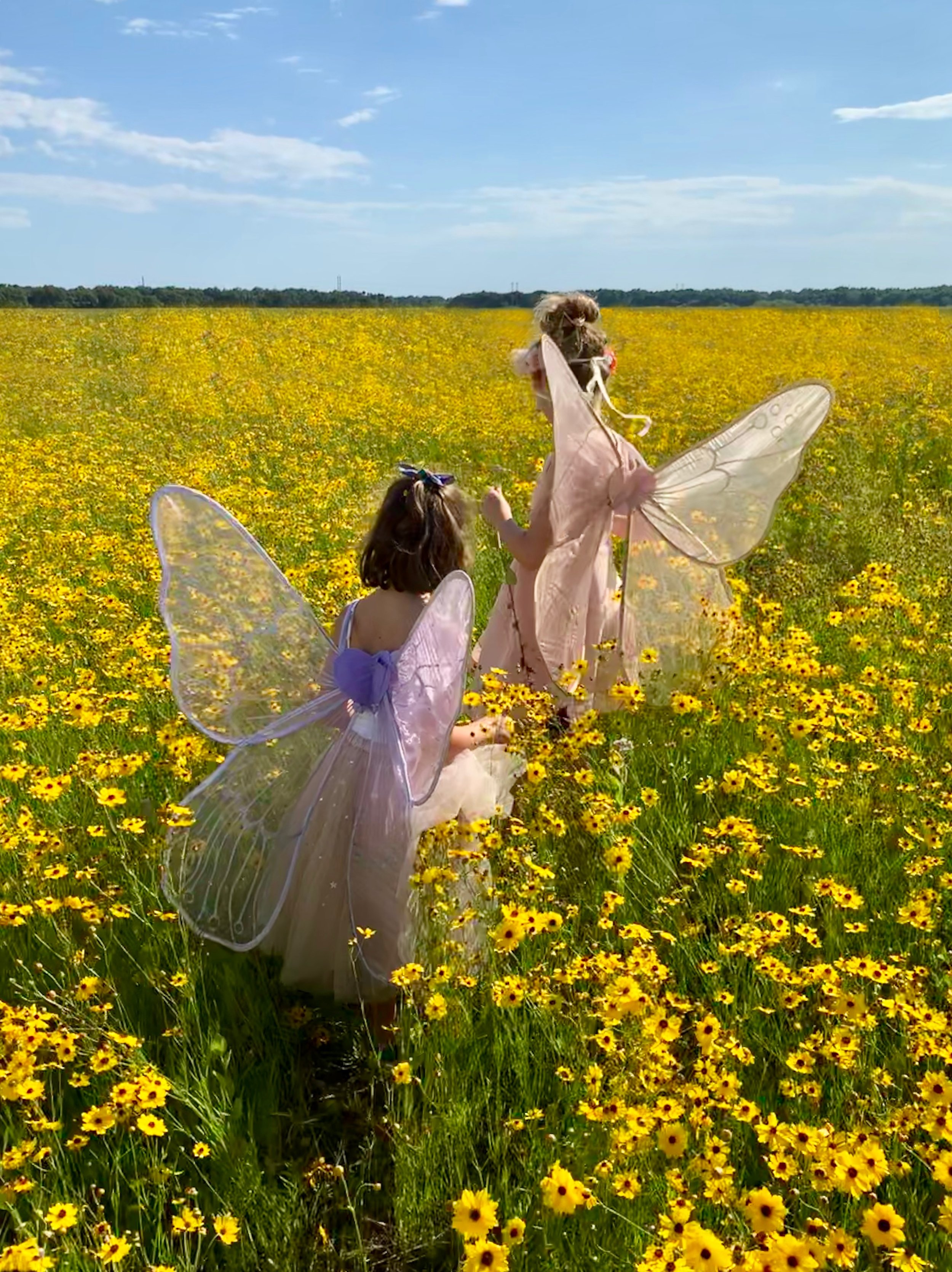 "Let Kids Play" from the NYTimes