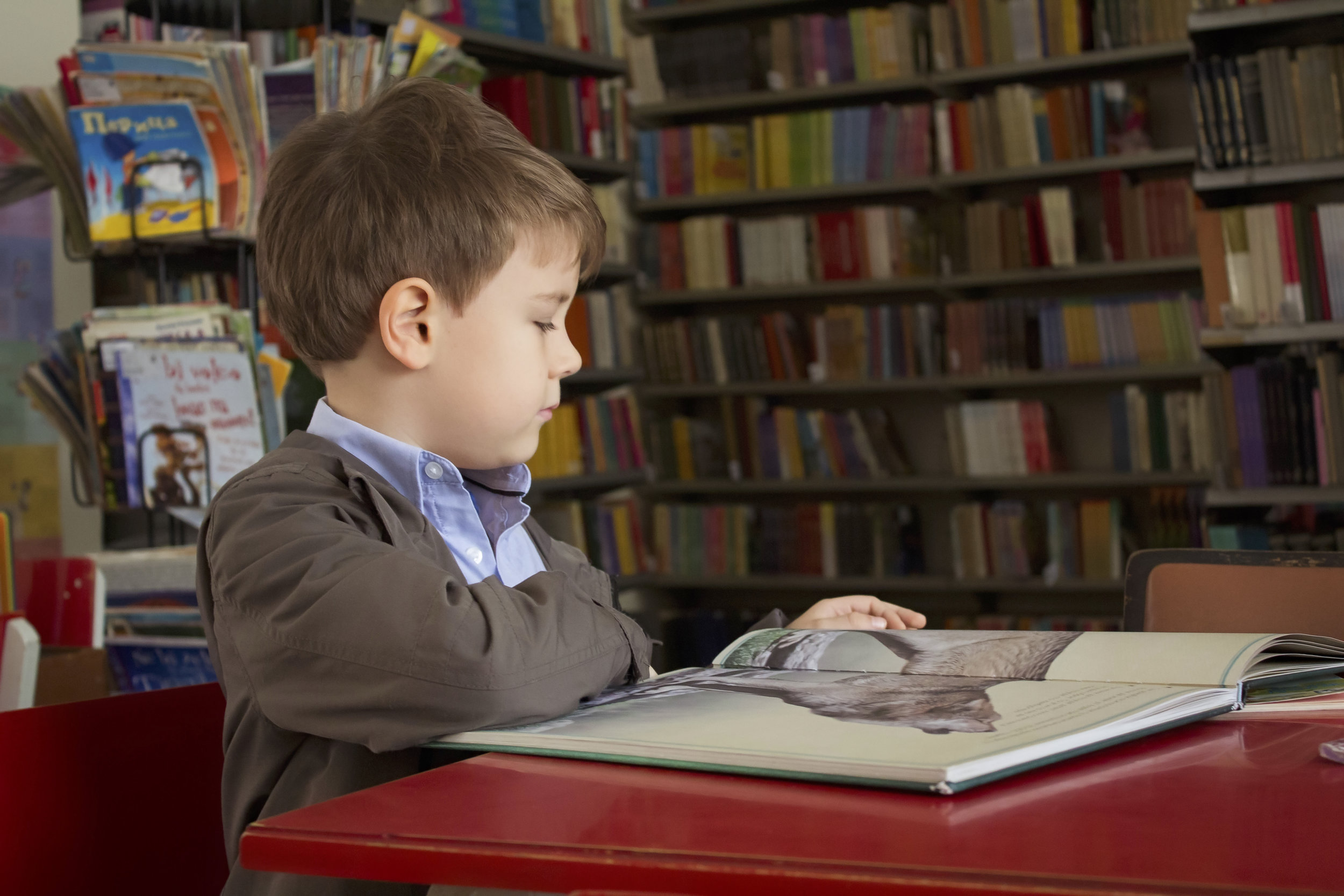 Teach Your Child to Read