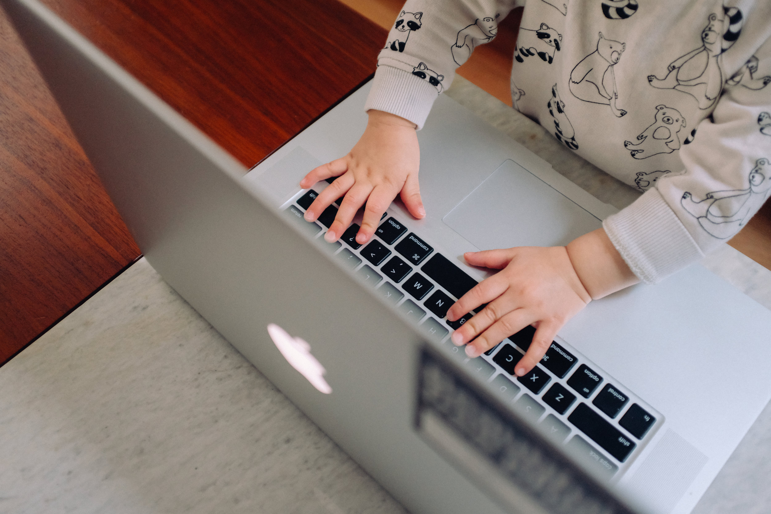 Best hardware and software for “virtual school”